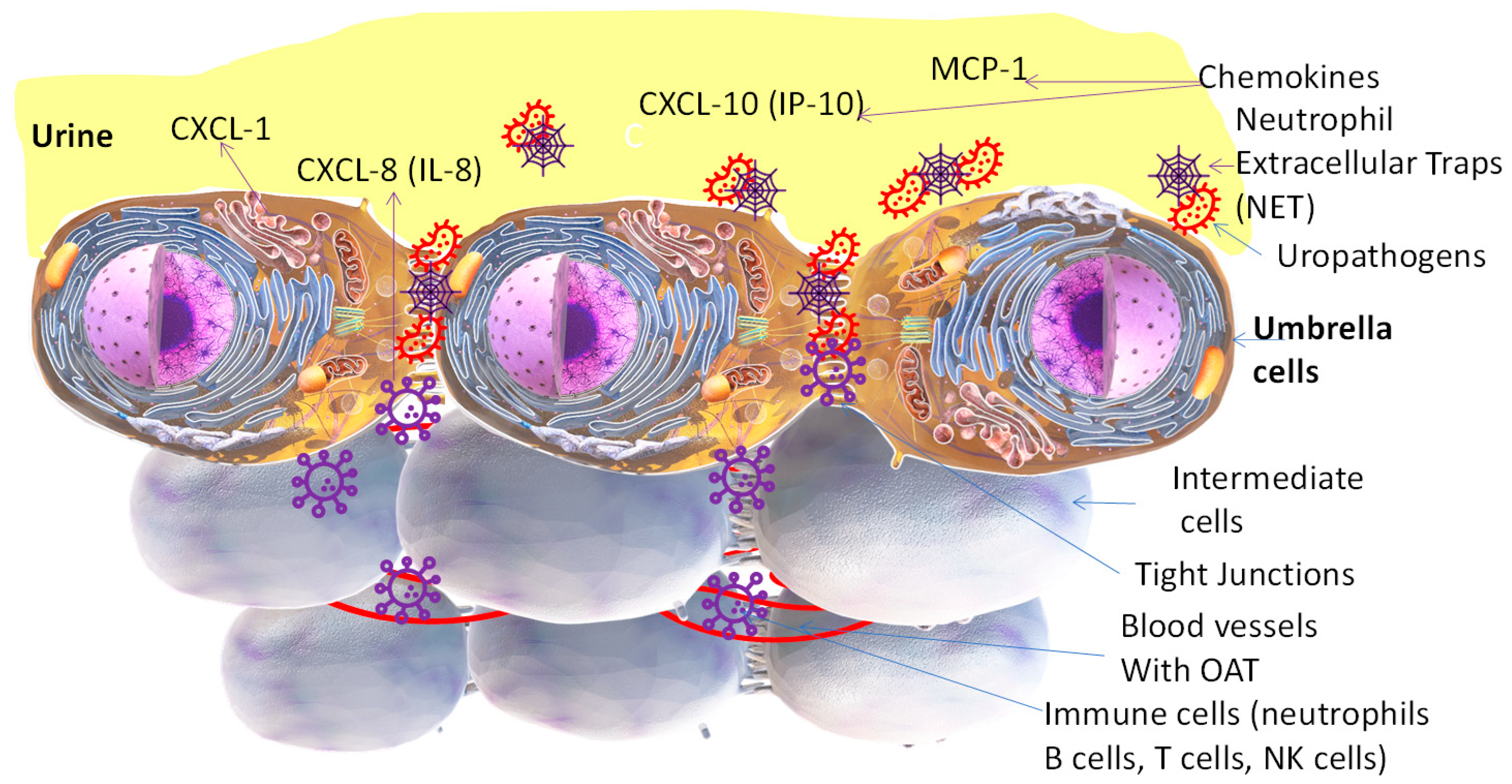 Antibiotics 13 00328 g001 Antibiotics 13 00328 g001
