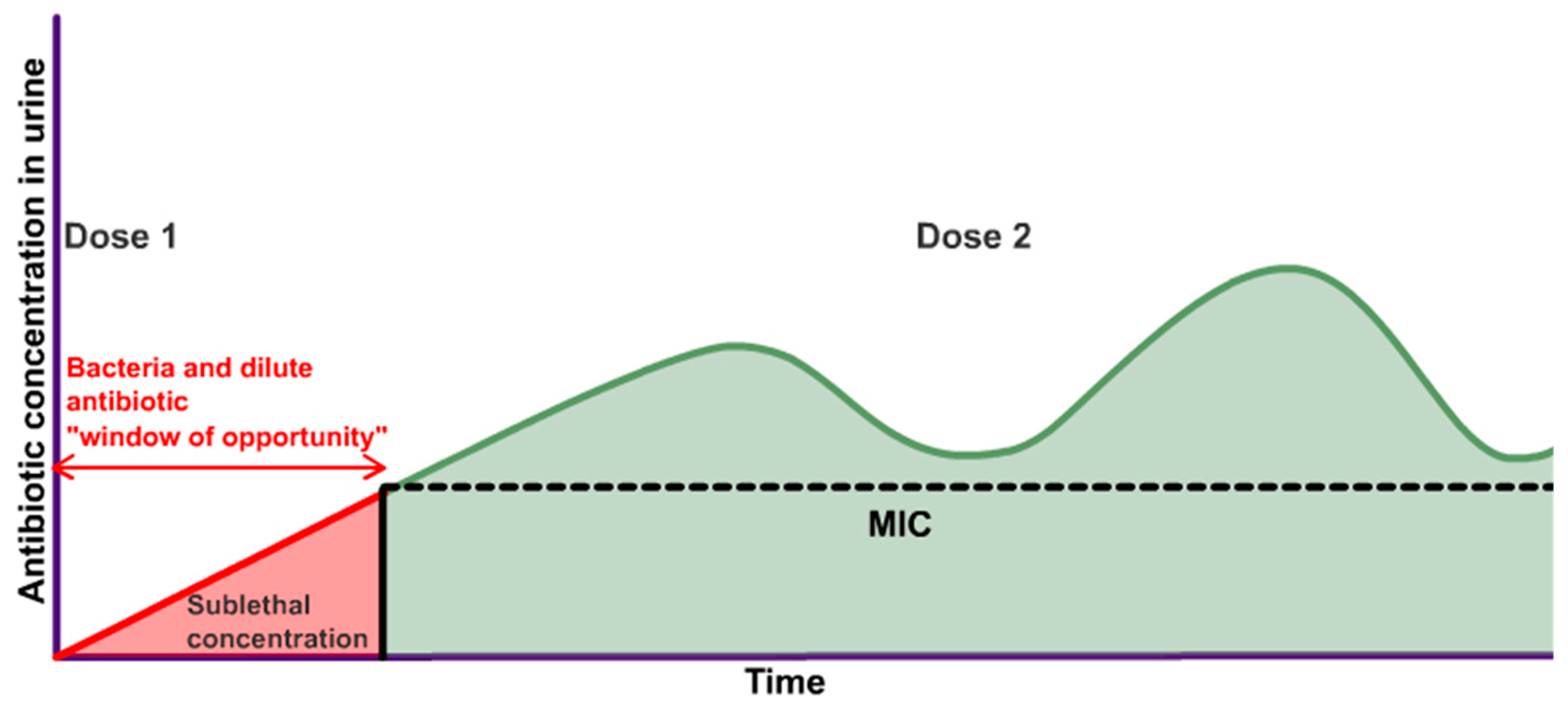 Antibiotics 13 00328 g004 Antibiotics 13 00328 g004