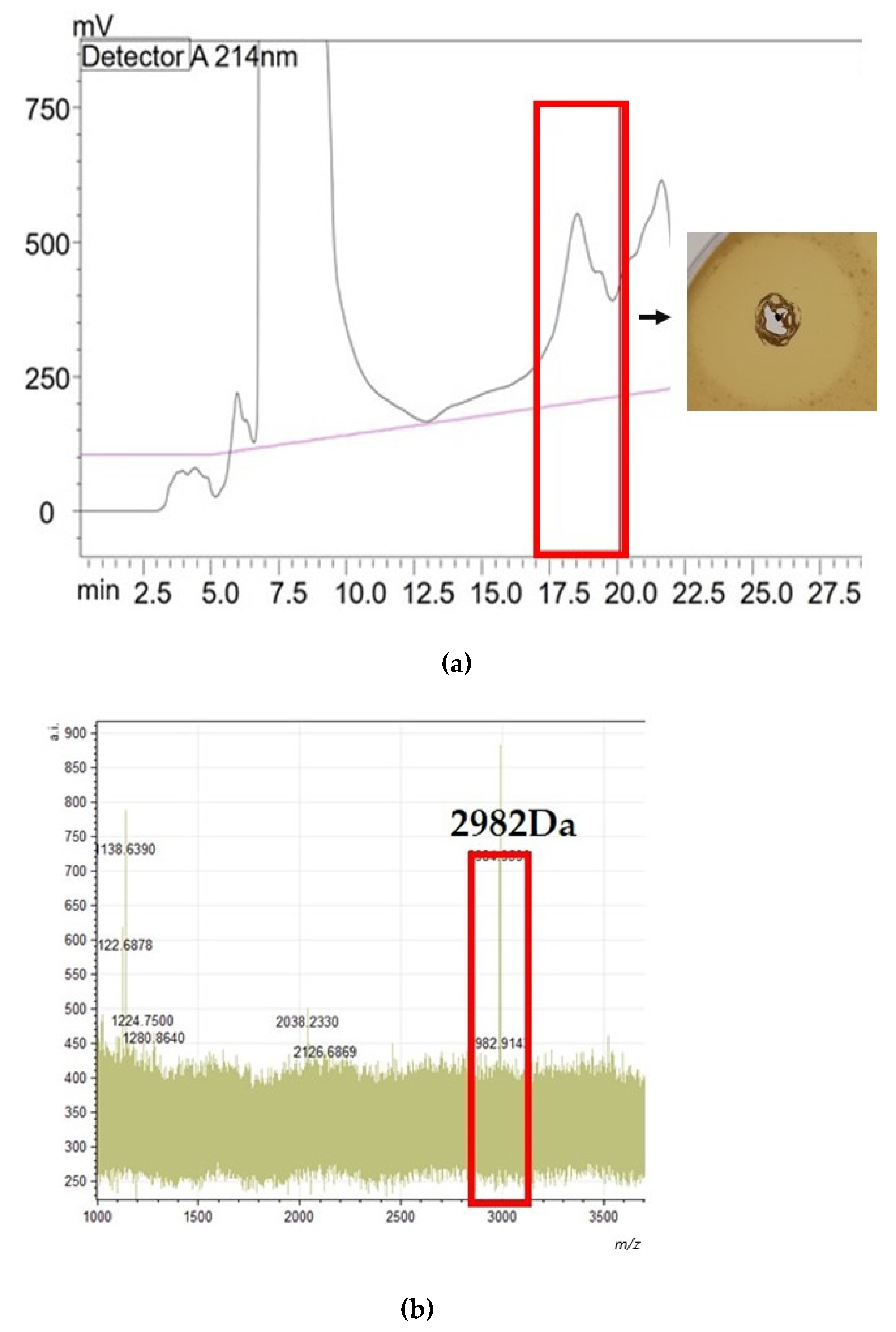 Antibiotics 13 00338 g008