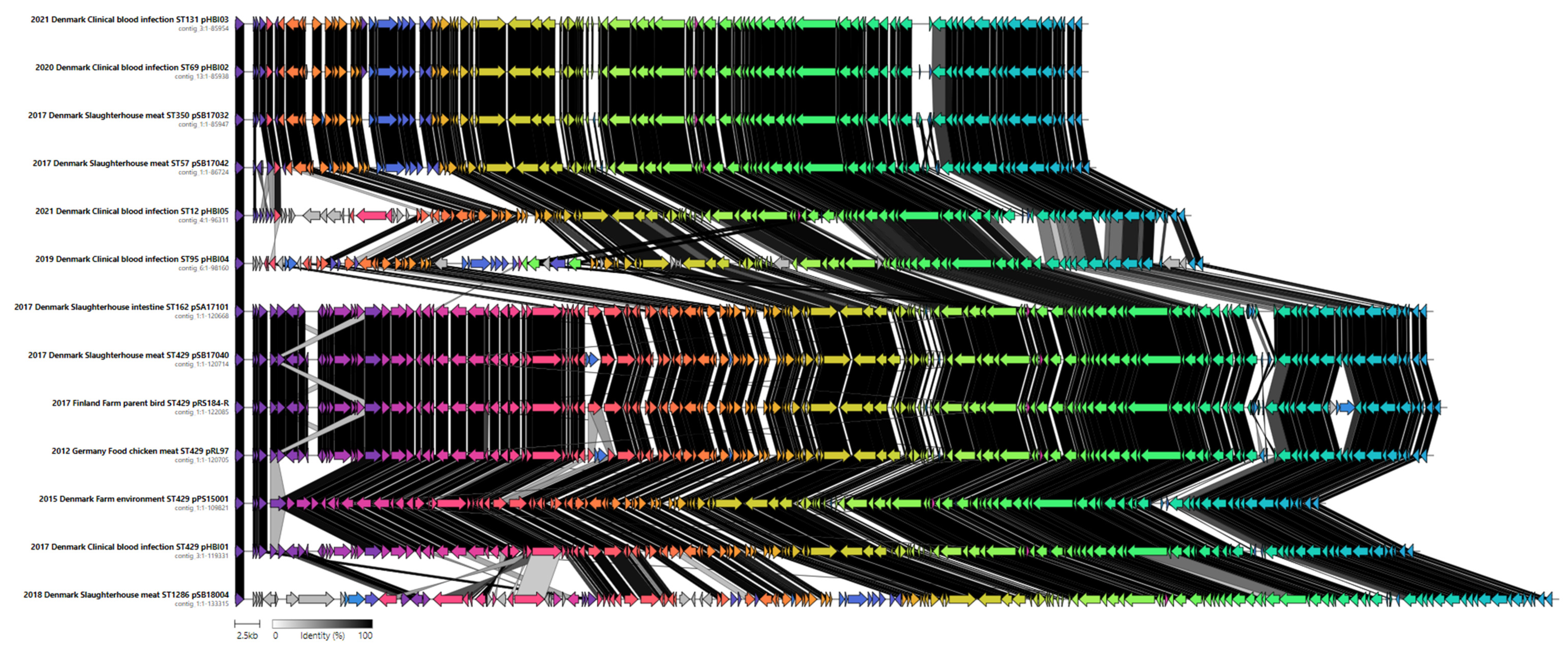 Antibiotics 13 00349 g005 Antibiotics 13 00349 g005