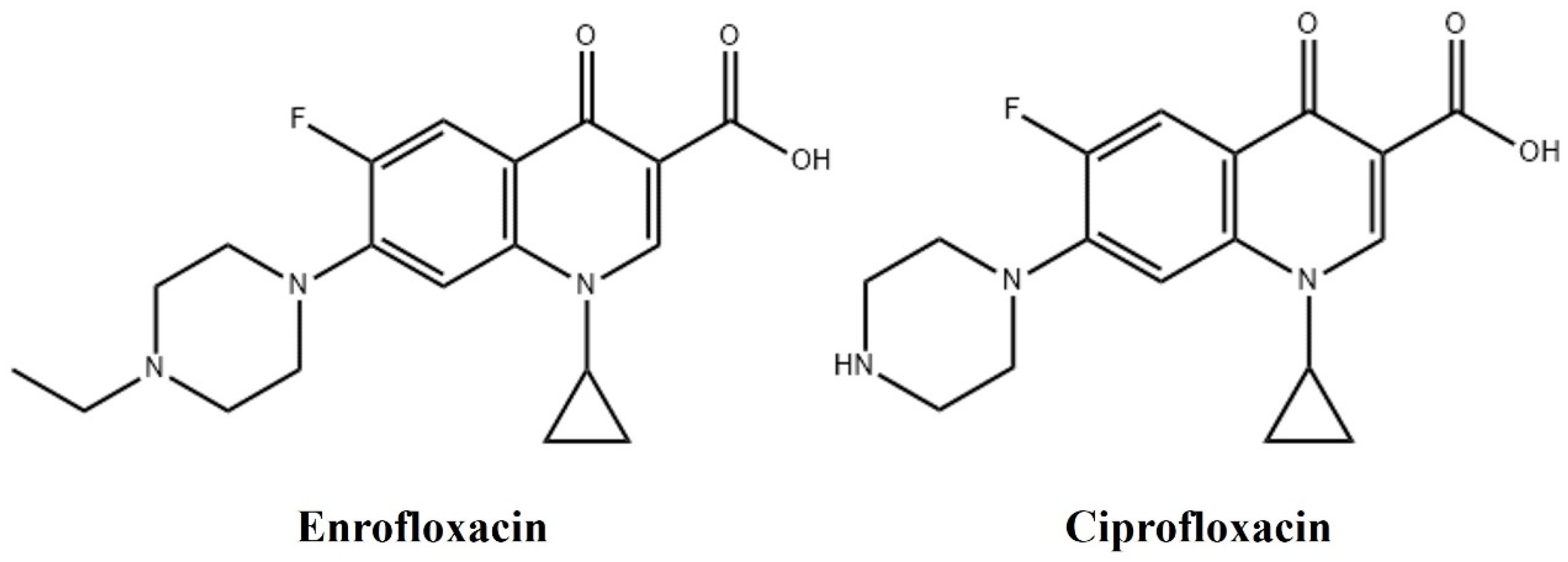 Antibiotics 13 00355 g001