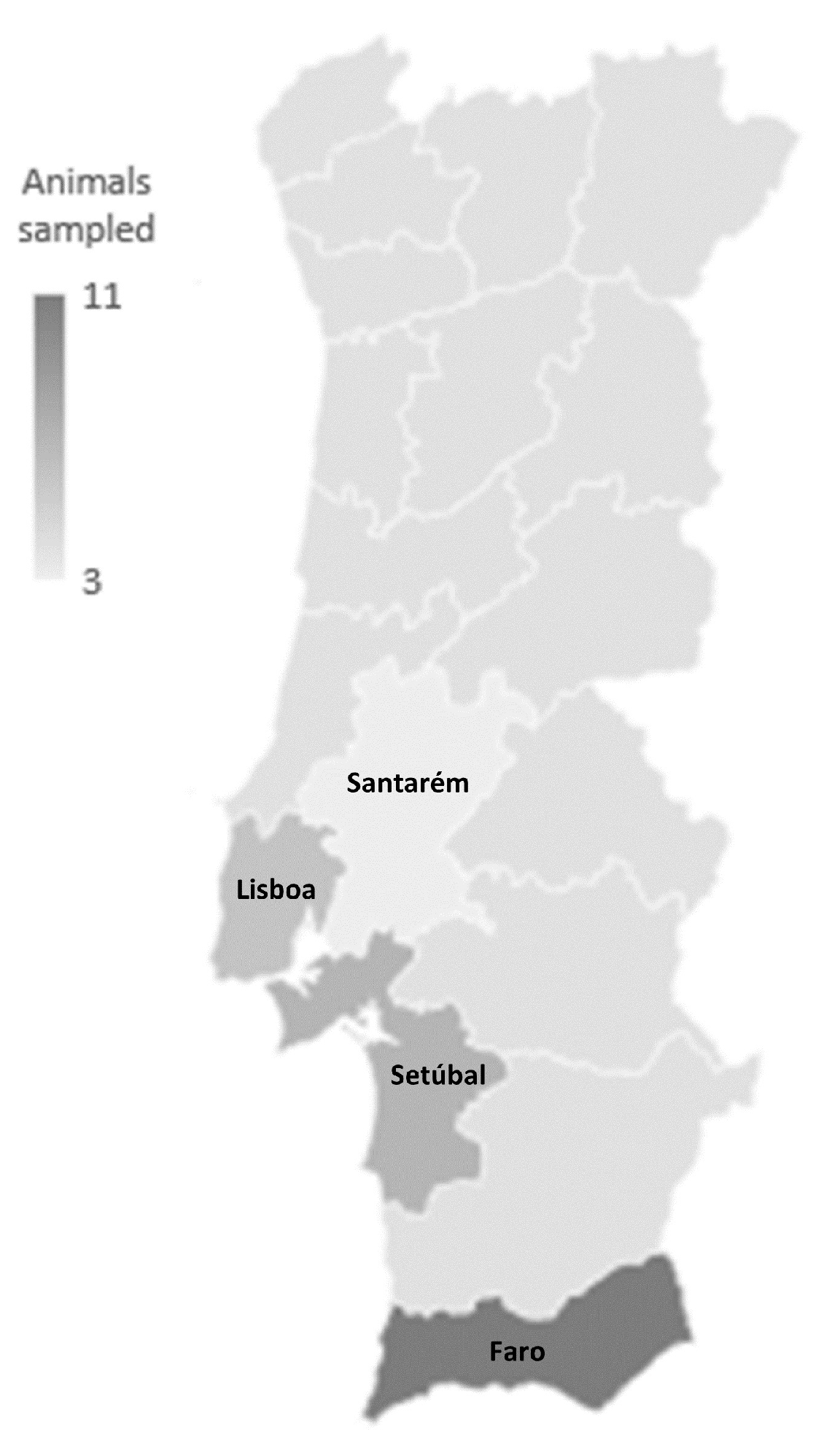 Antibiotics 13 00379 g001
