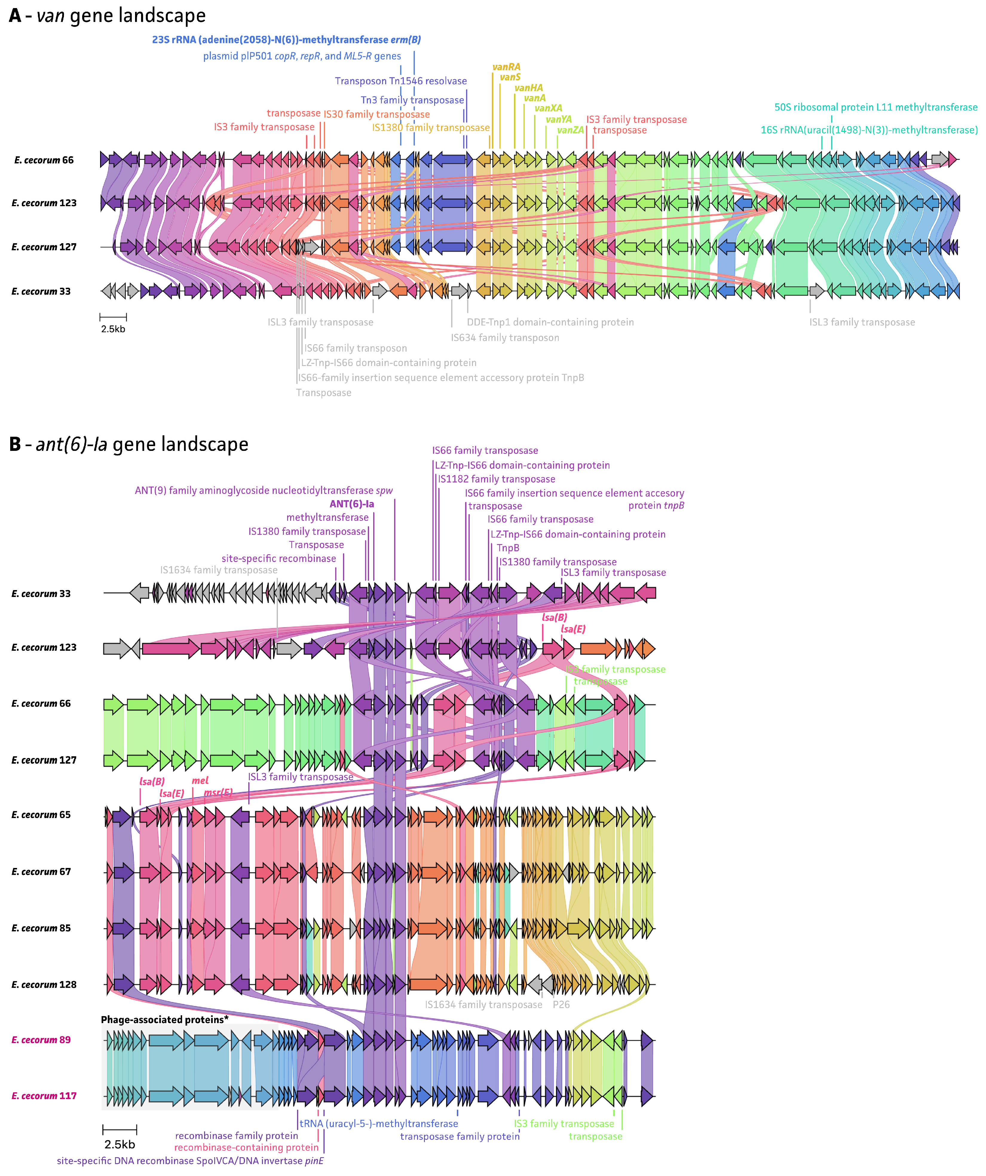 Antibiotics 13 00409 g005 Antibiotics 13 00409 g005