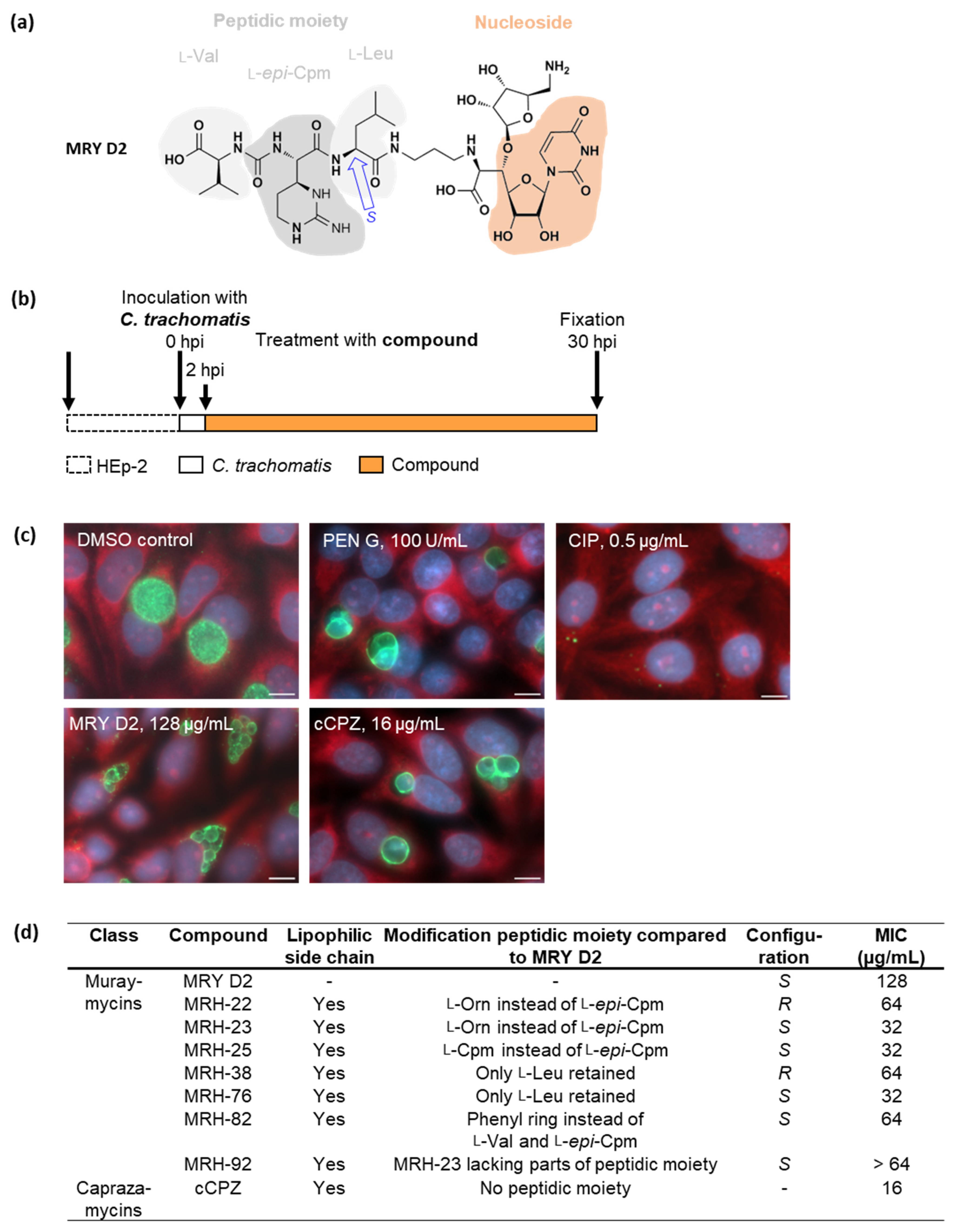 Antibiotics 13 00421 g001