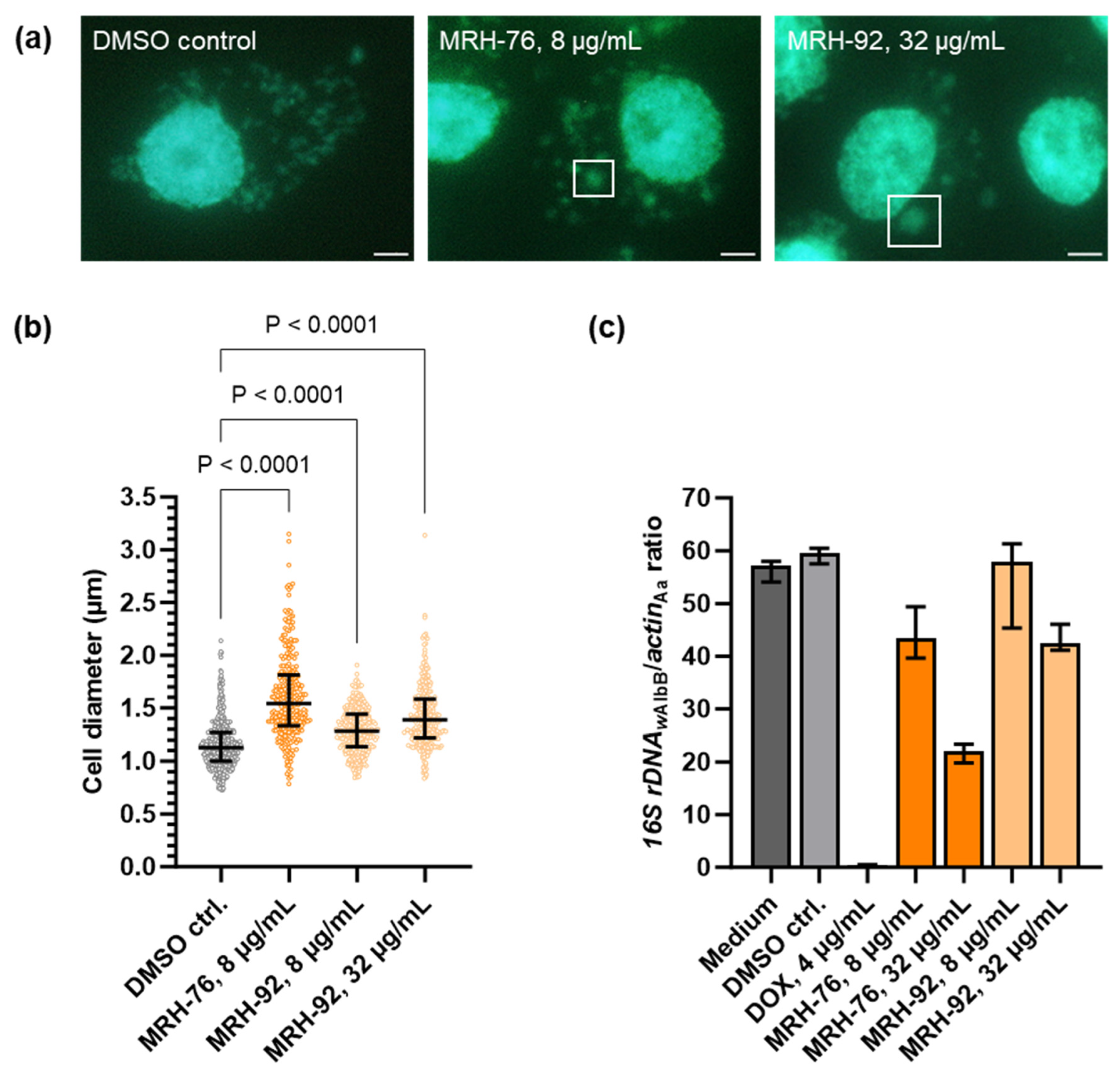 Antibiotics 13 00421 g002