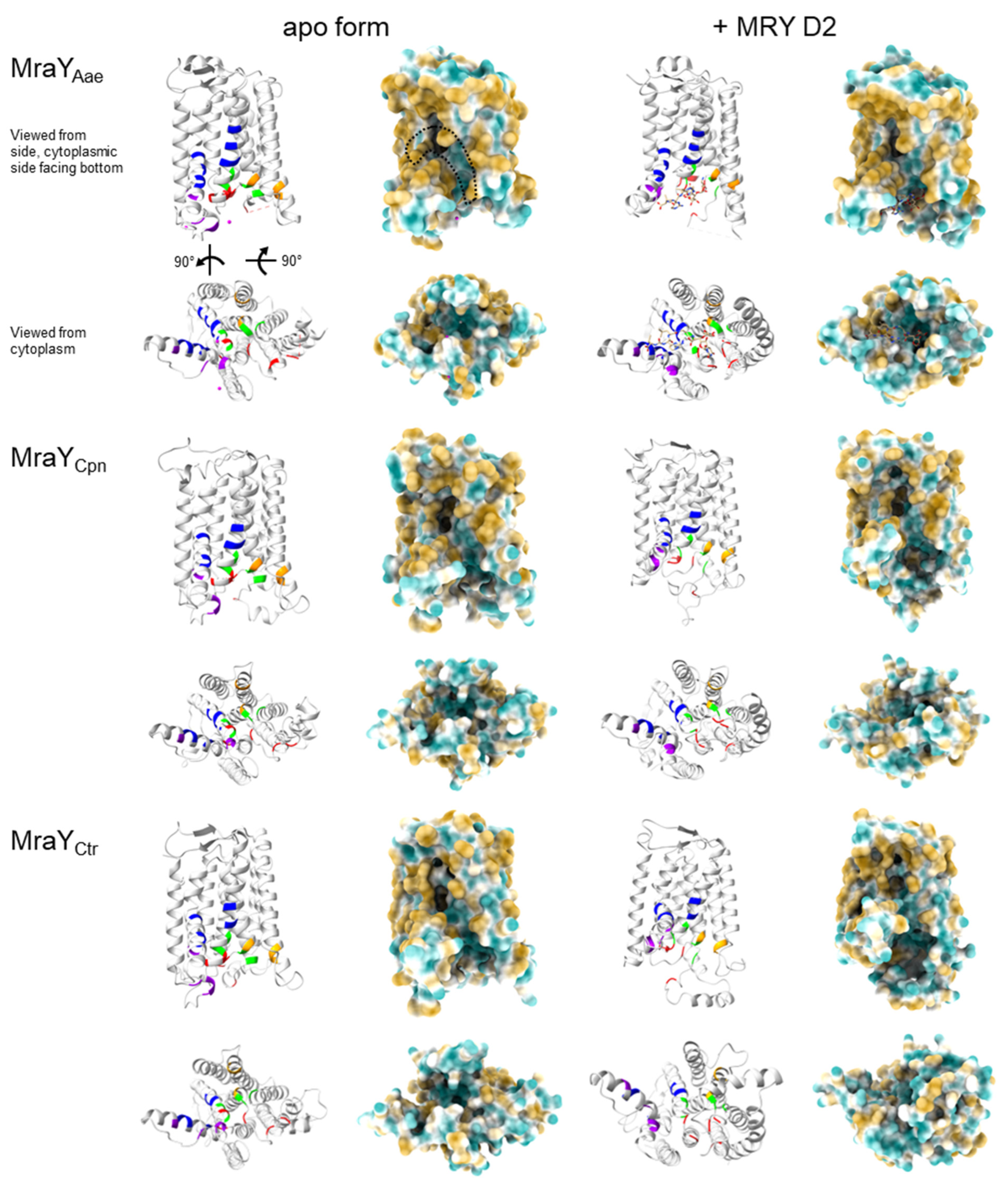 Antibiotics 13 00421 g004a