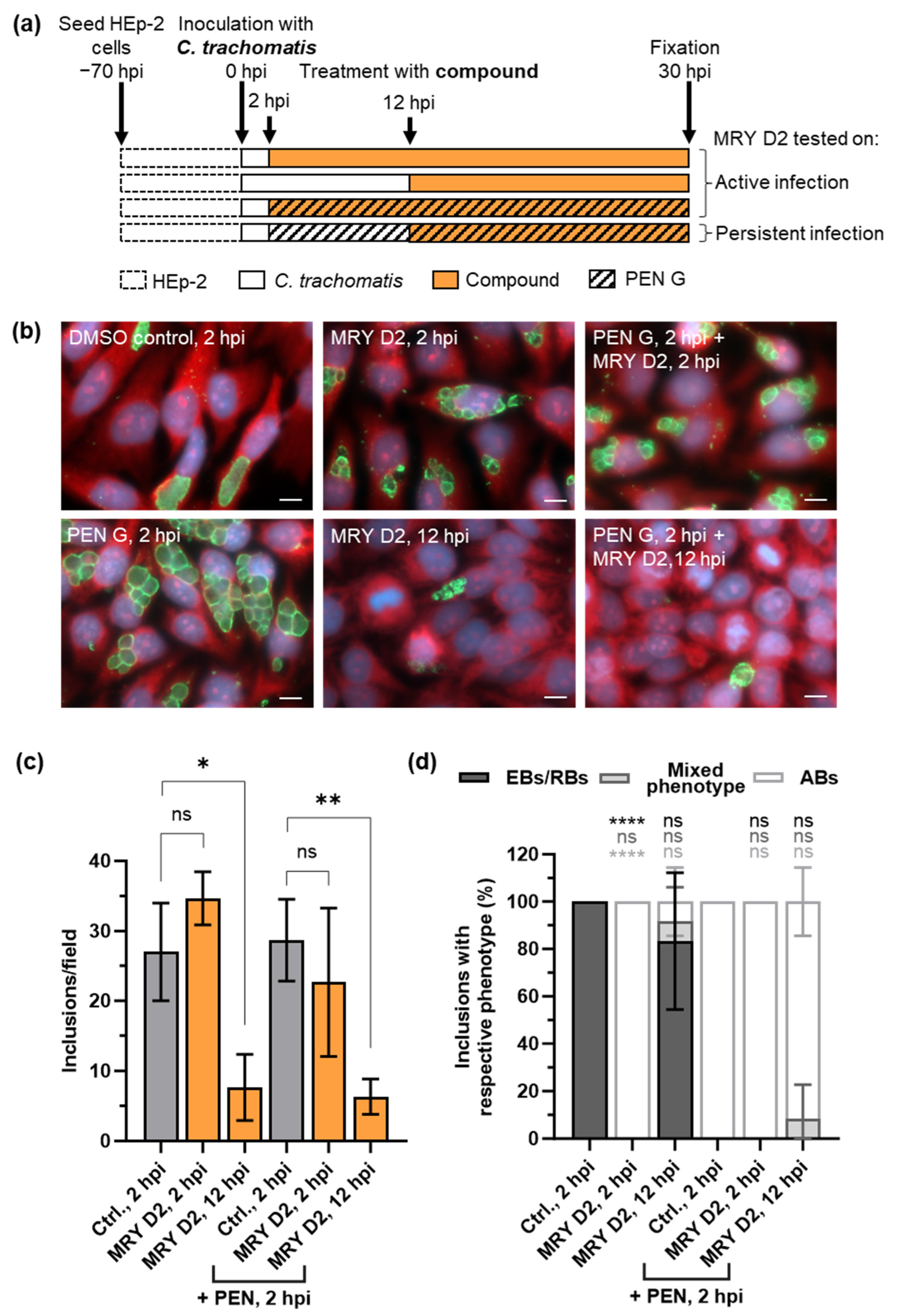 Antibiotics 13 00421 g006