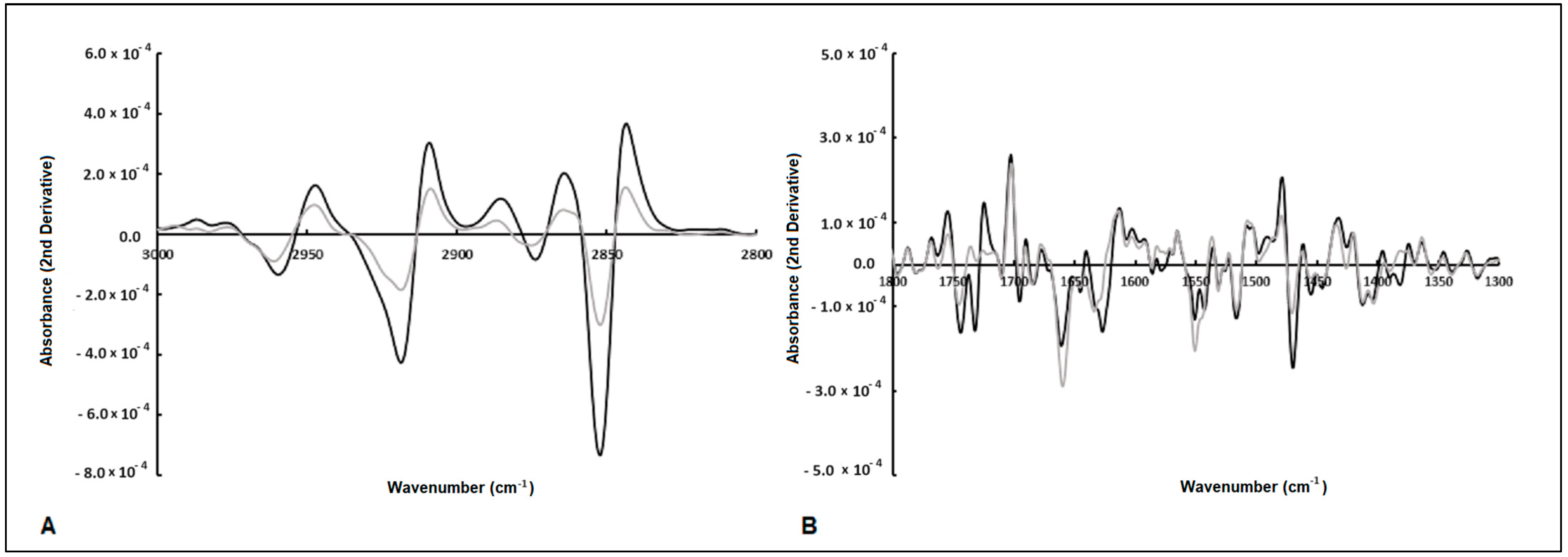 Antibiotics 13 00428 g003