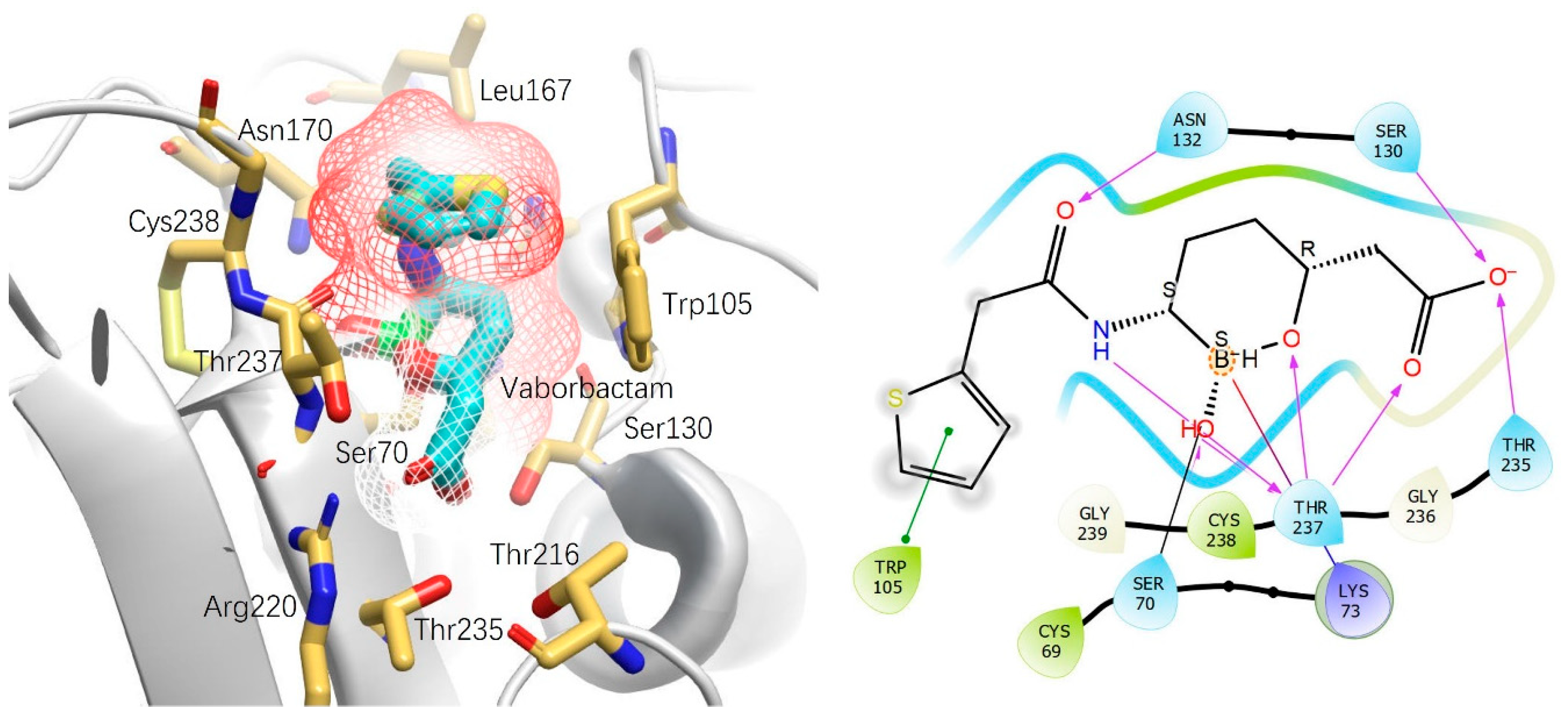 Antibiotics 13 00472 g004 Antibiotics 13 00472 g004