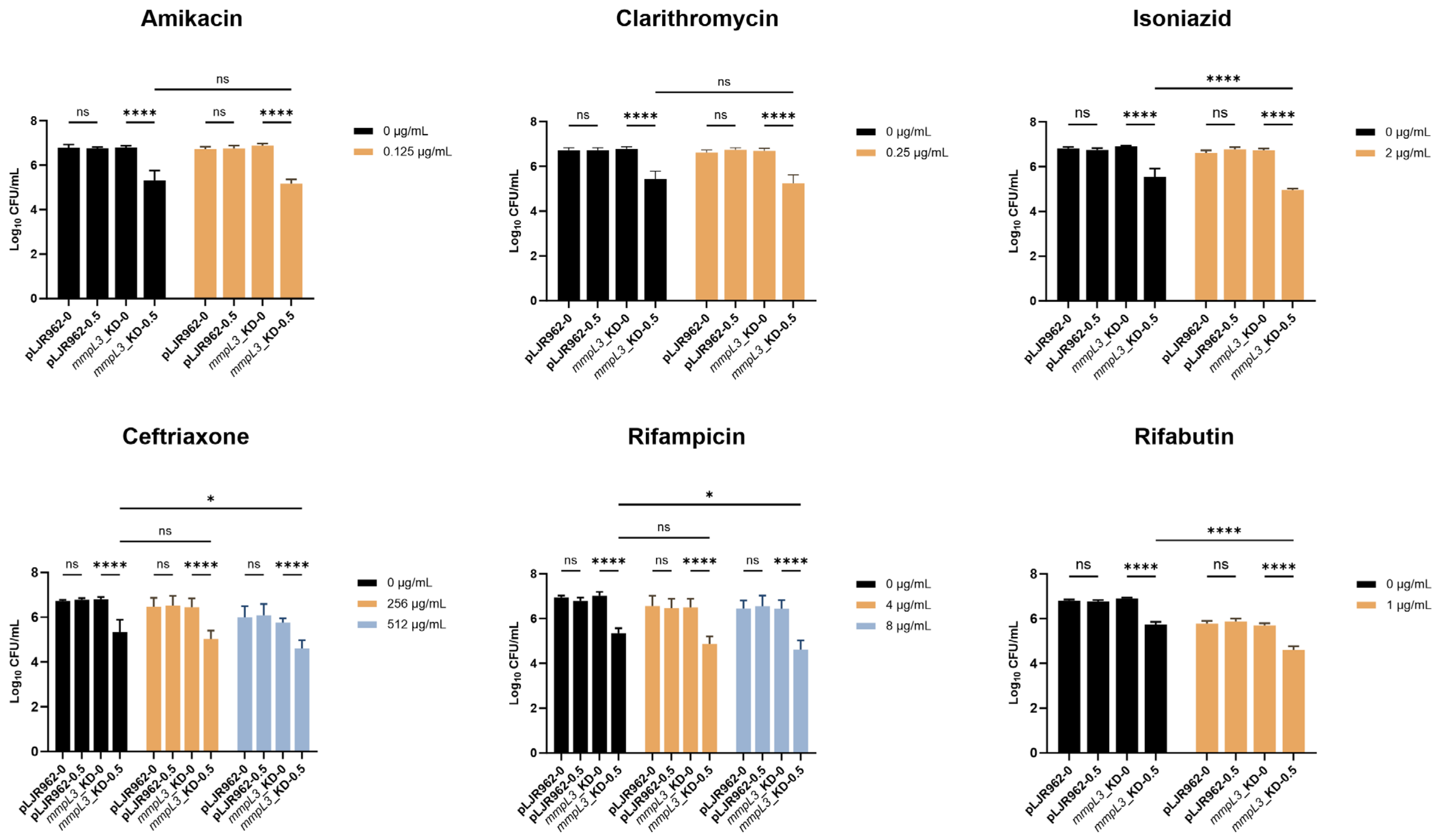Antibiotics 13 00483 g005
