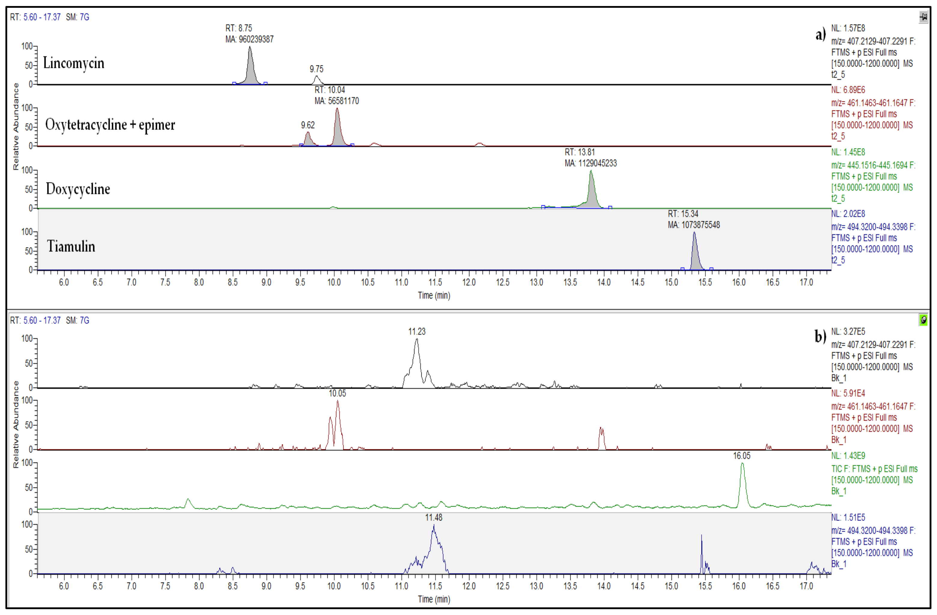 Antibiotics 13 00486 g001