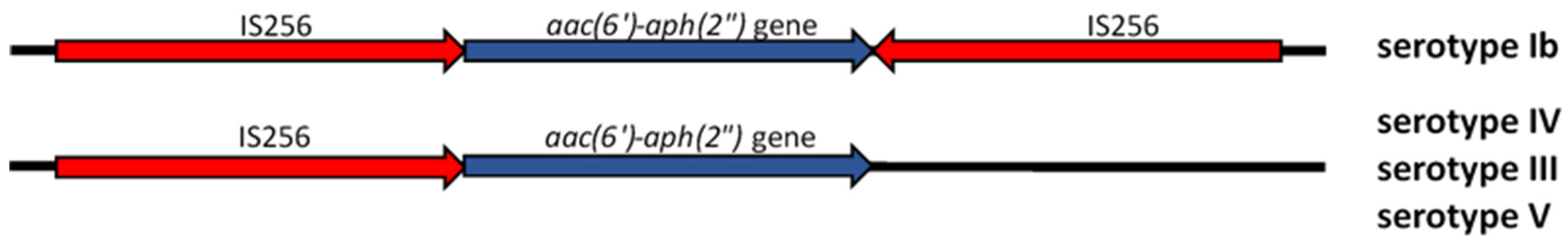 Antibiotics 13 00491 g001