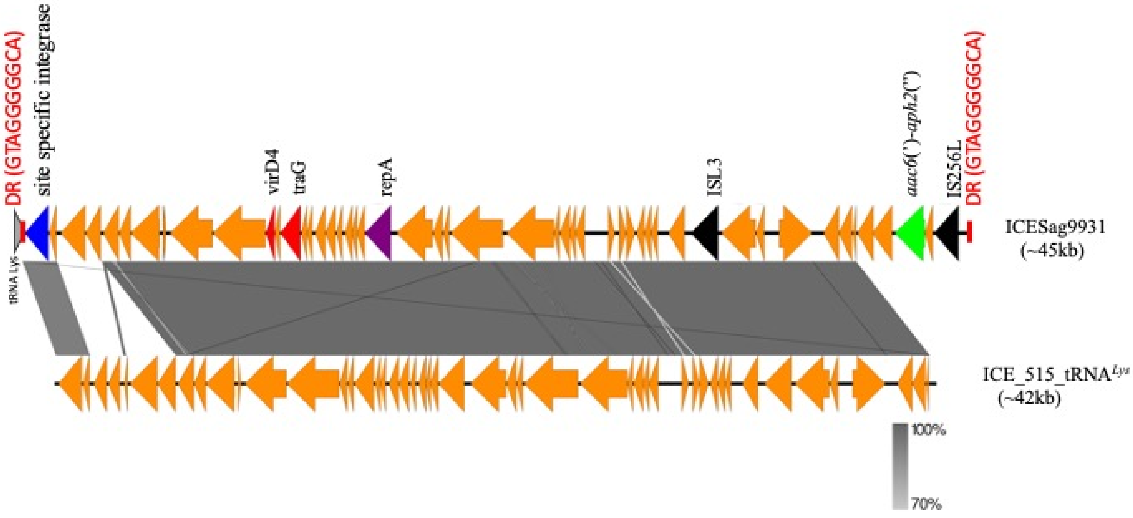Antibiotics 13 00491 g002