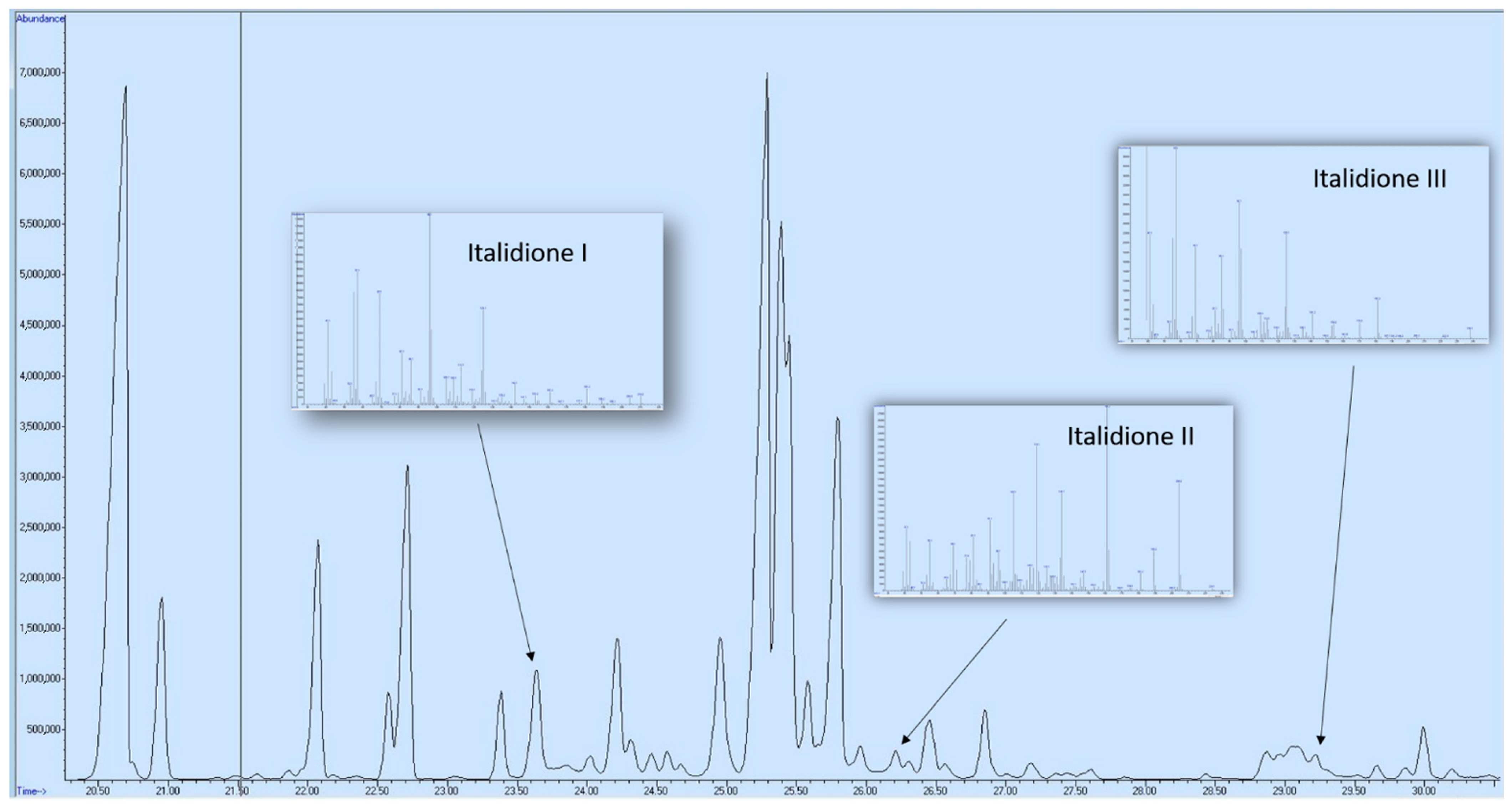 Antibiotics 13 00499 g001 Antibiotics 13 00499 g001