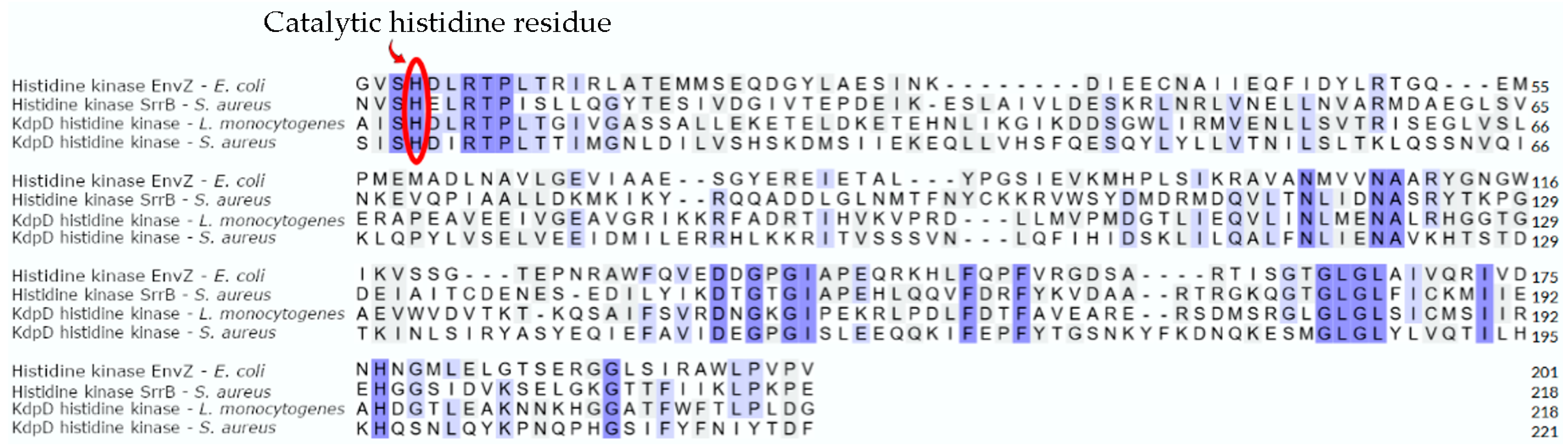 Antibiotics 13 00499 g004 Antibiotics 13 00499 g004