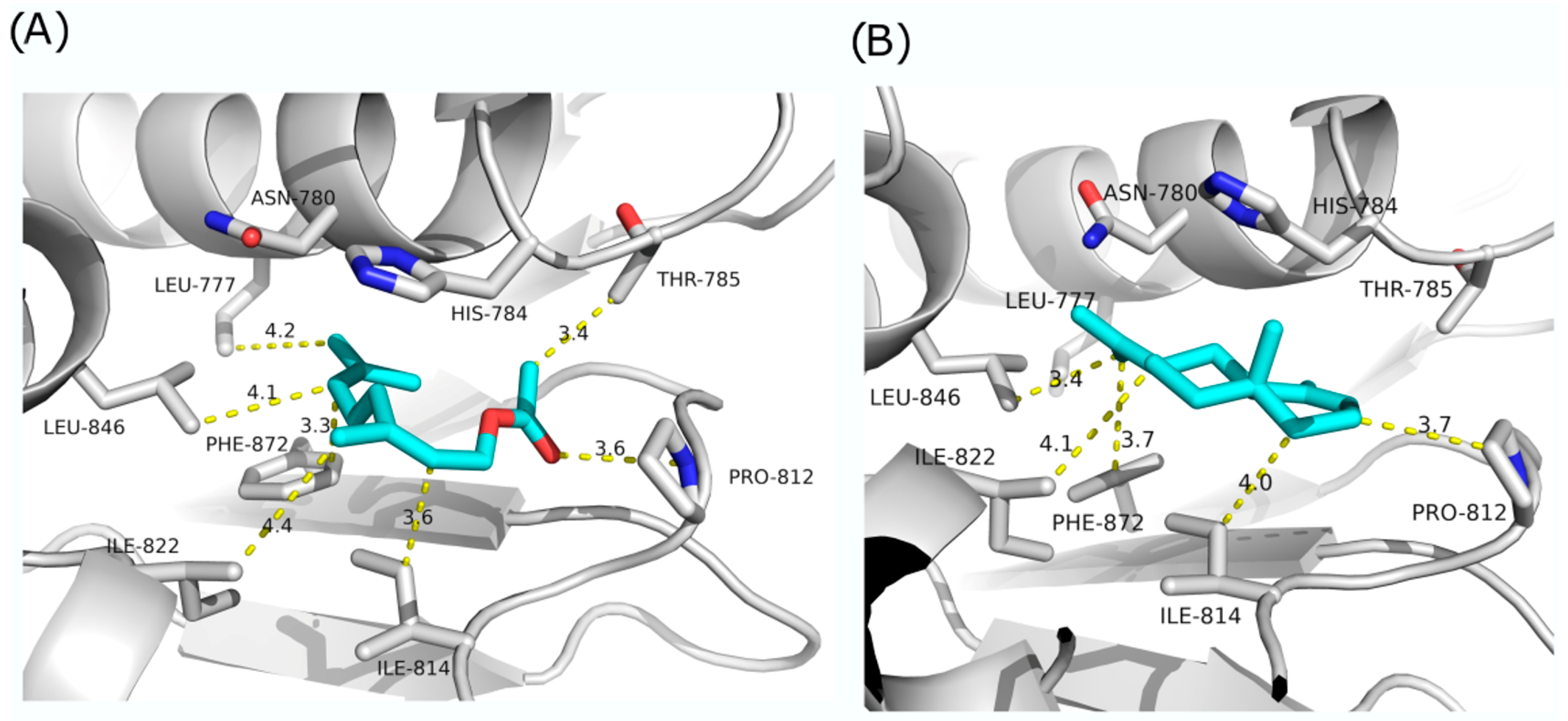 Antibiotics 13 00499 g005 Antibiotics 13 00499 g005