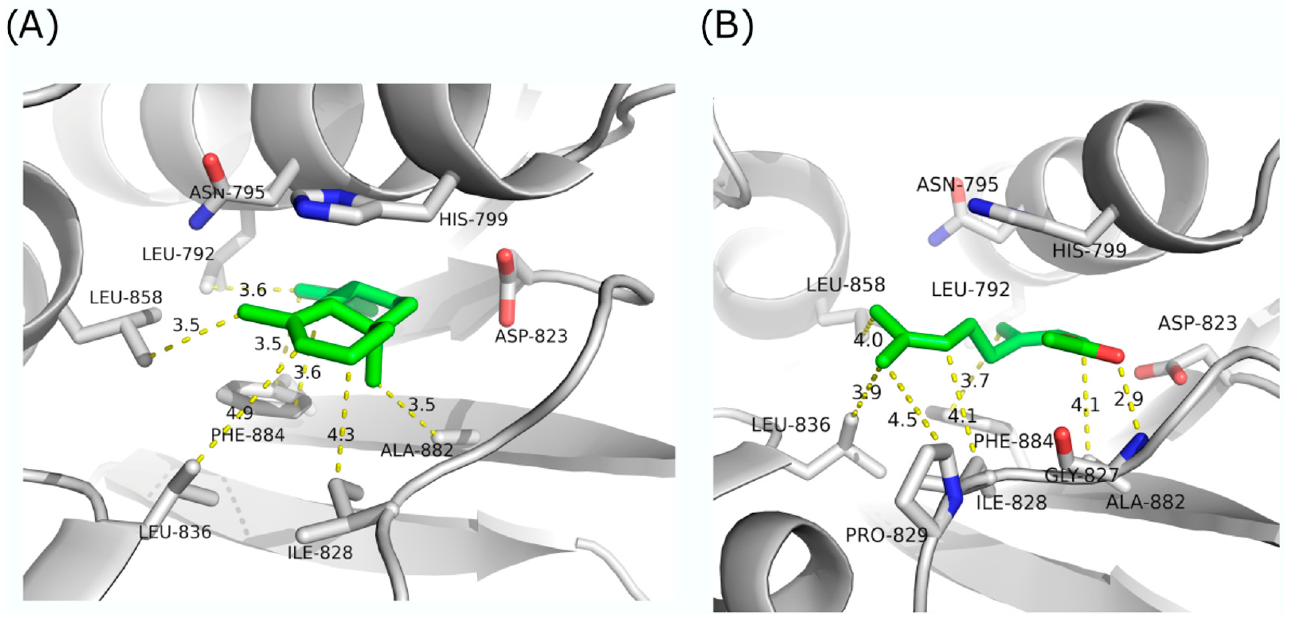 Antibiotics 13 00499 g006 Antibiotics 13 00499 g006