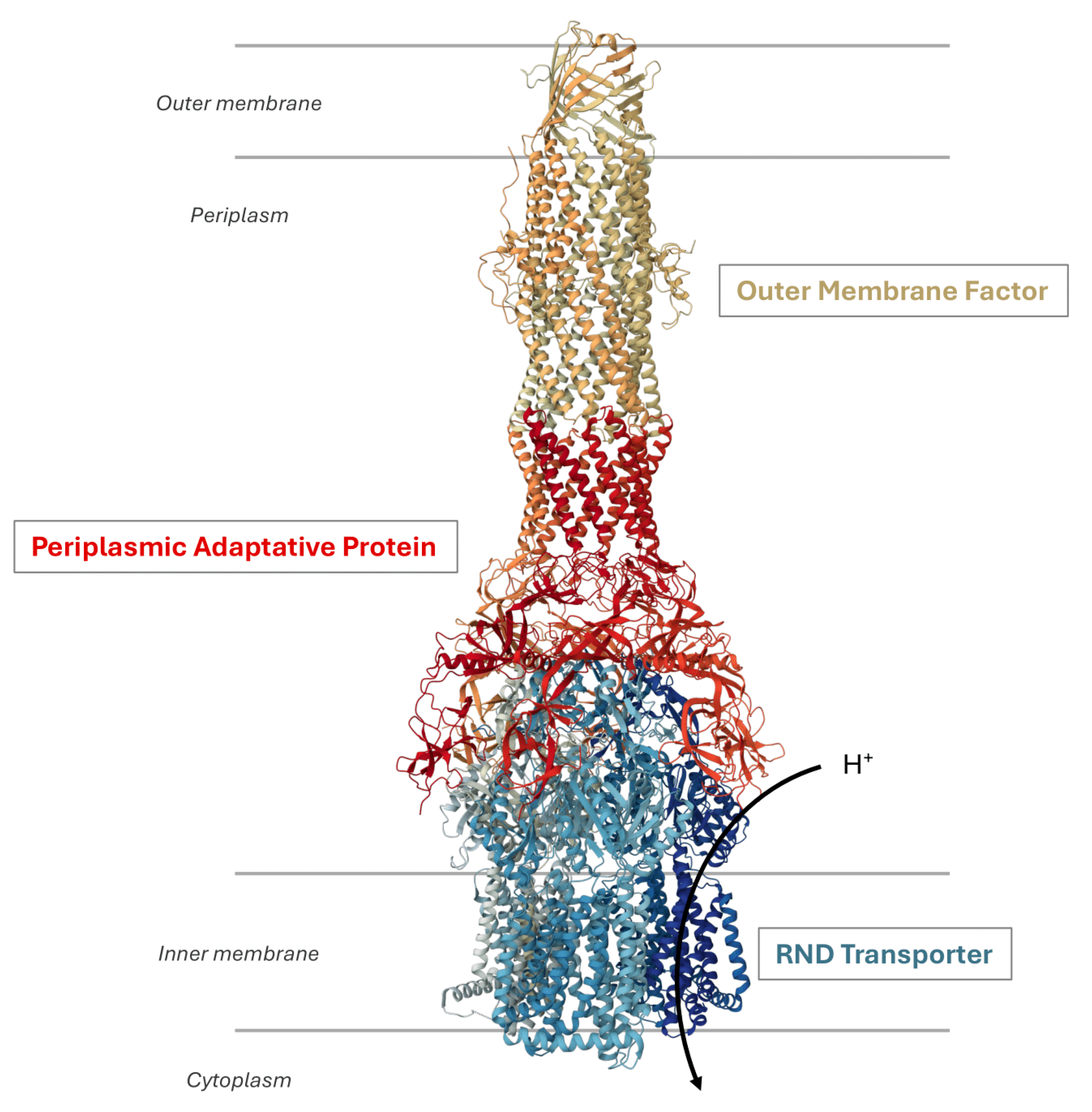 Antibiotics 13 00501 g001 Antibiotics 13 00501 g001