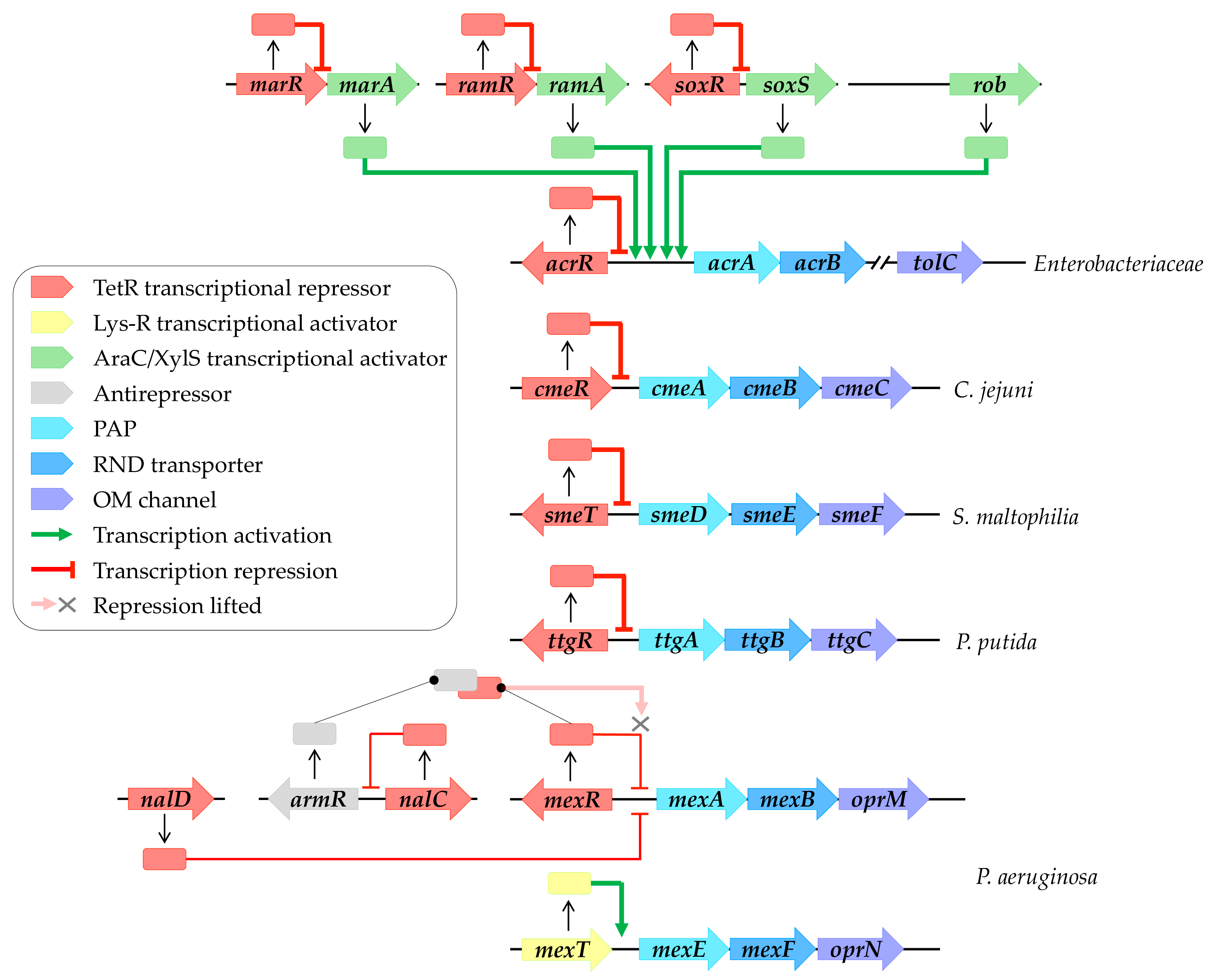 Antibiotics 13 00501 g002 Antibiotics 13 00501 g002