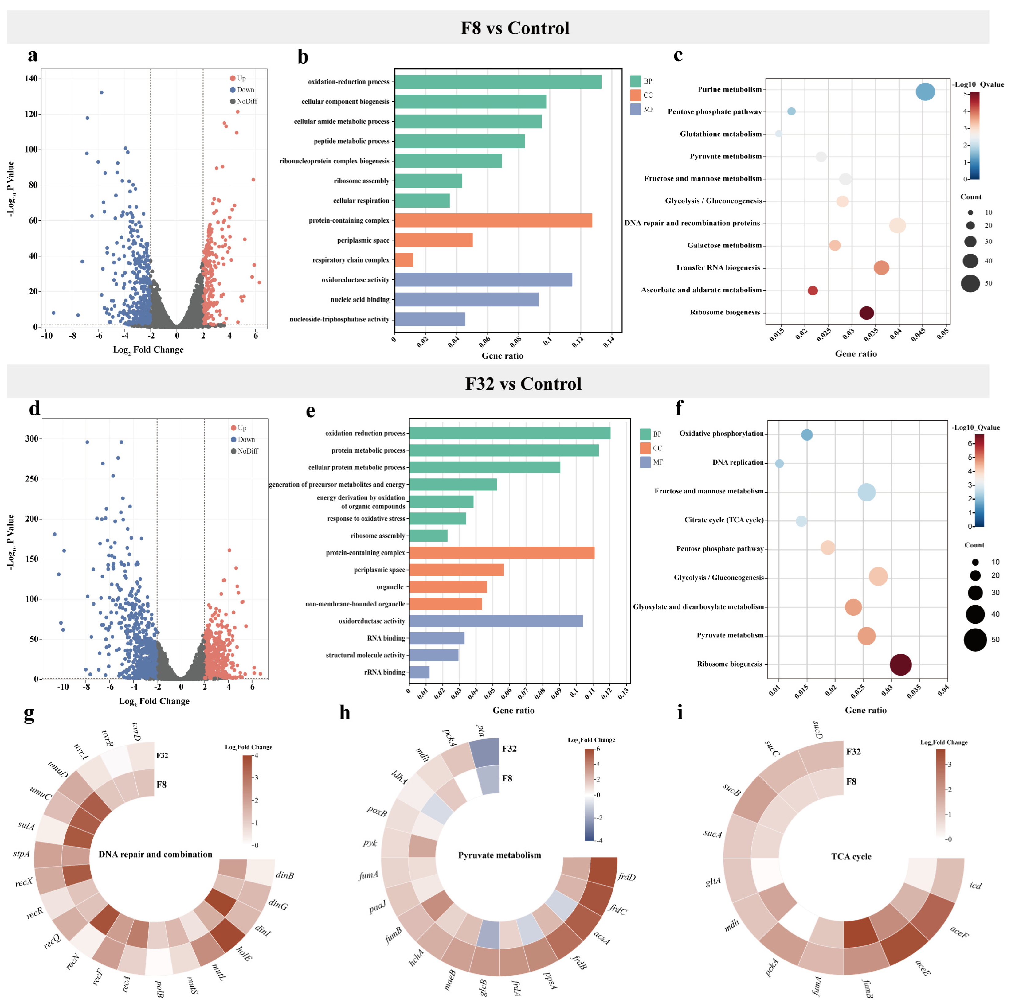 Antibiotics 13 00528 g003