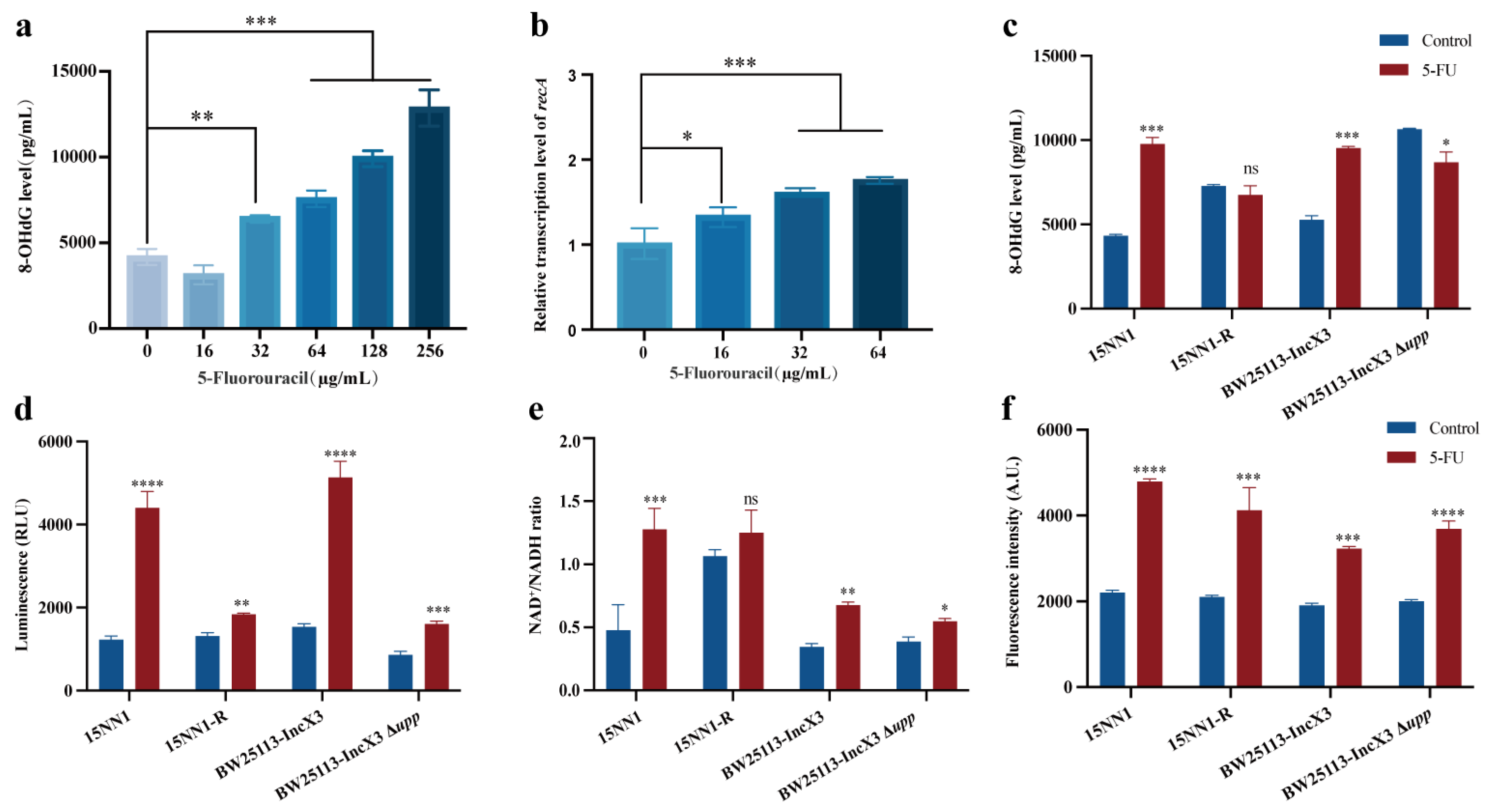 Antibiotics 13 00528 g004