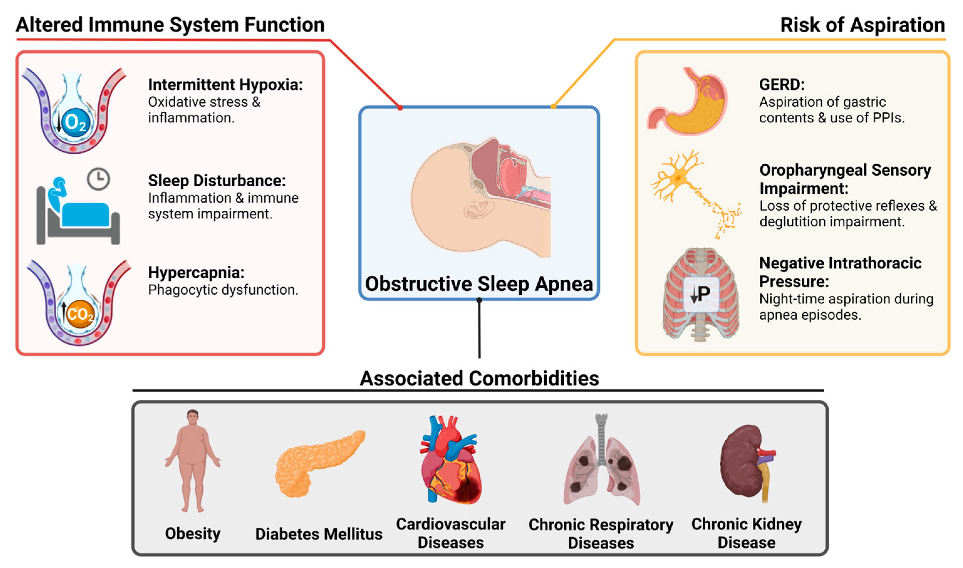 Antibiotics 13 00532 g001