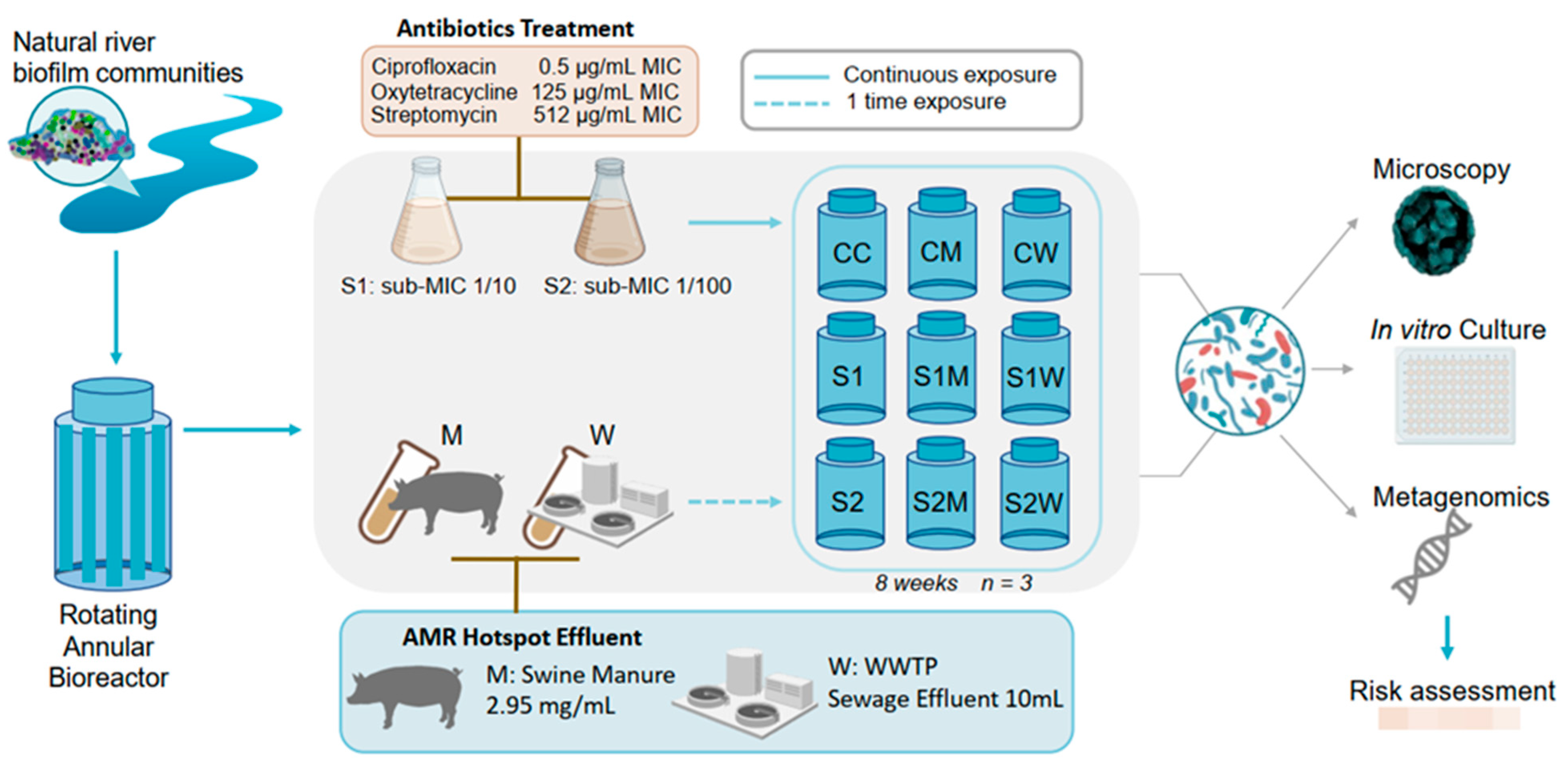 Antibiotics 13 00539 g001