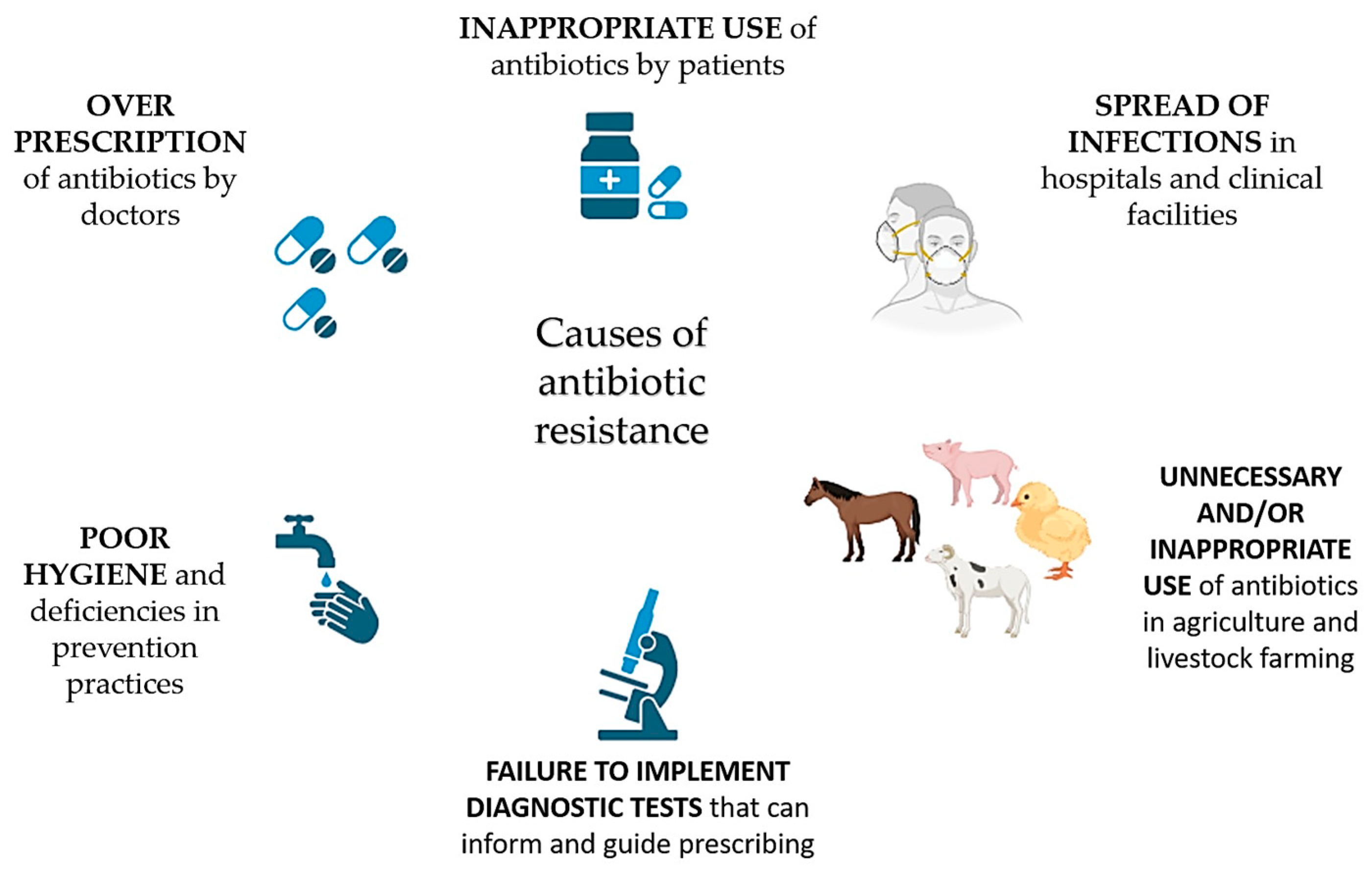 Antibiotics 13 00551 g001