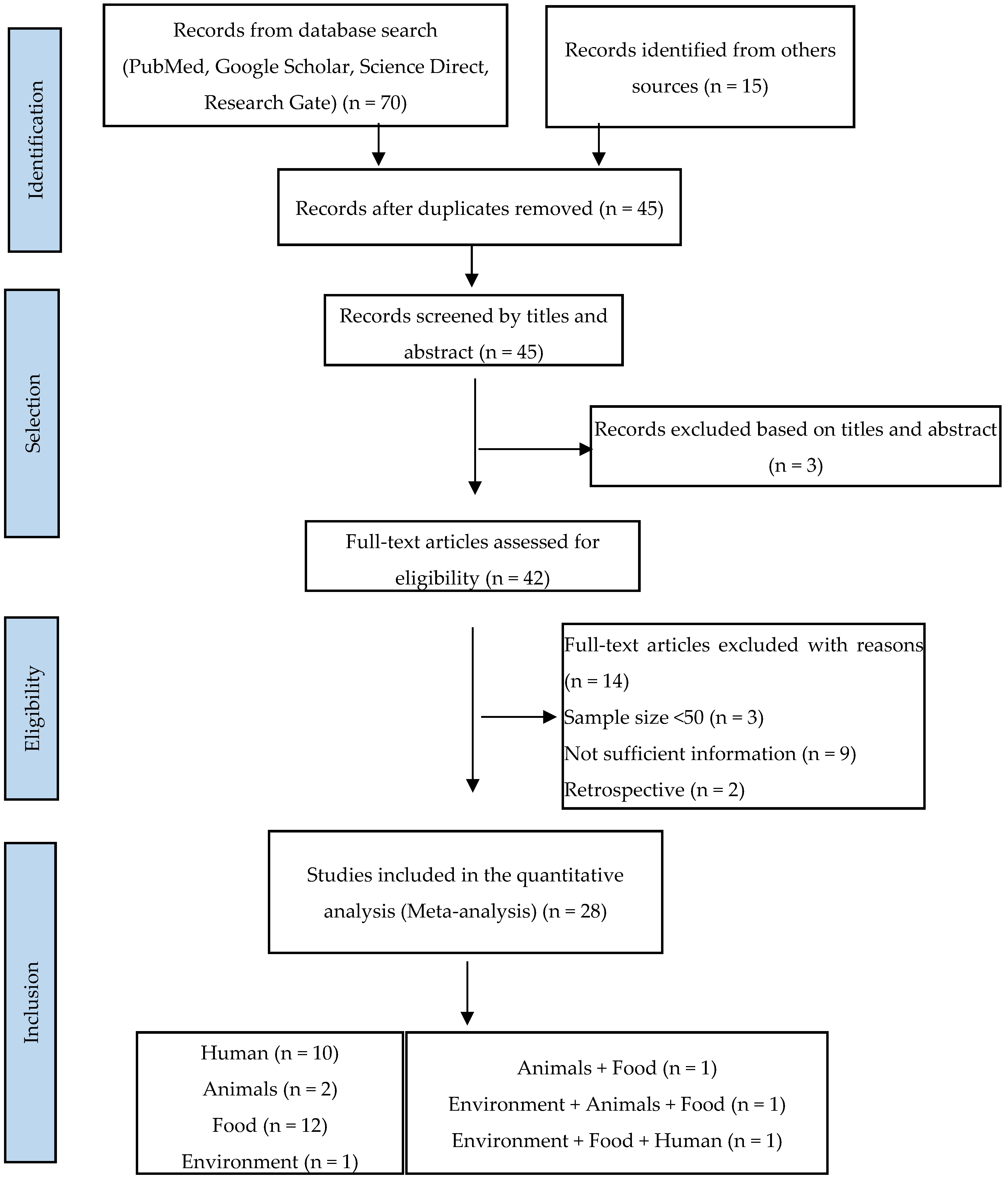 Antibiotics 13 00556 g001