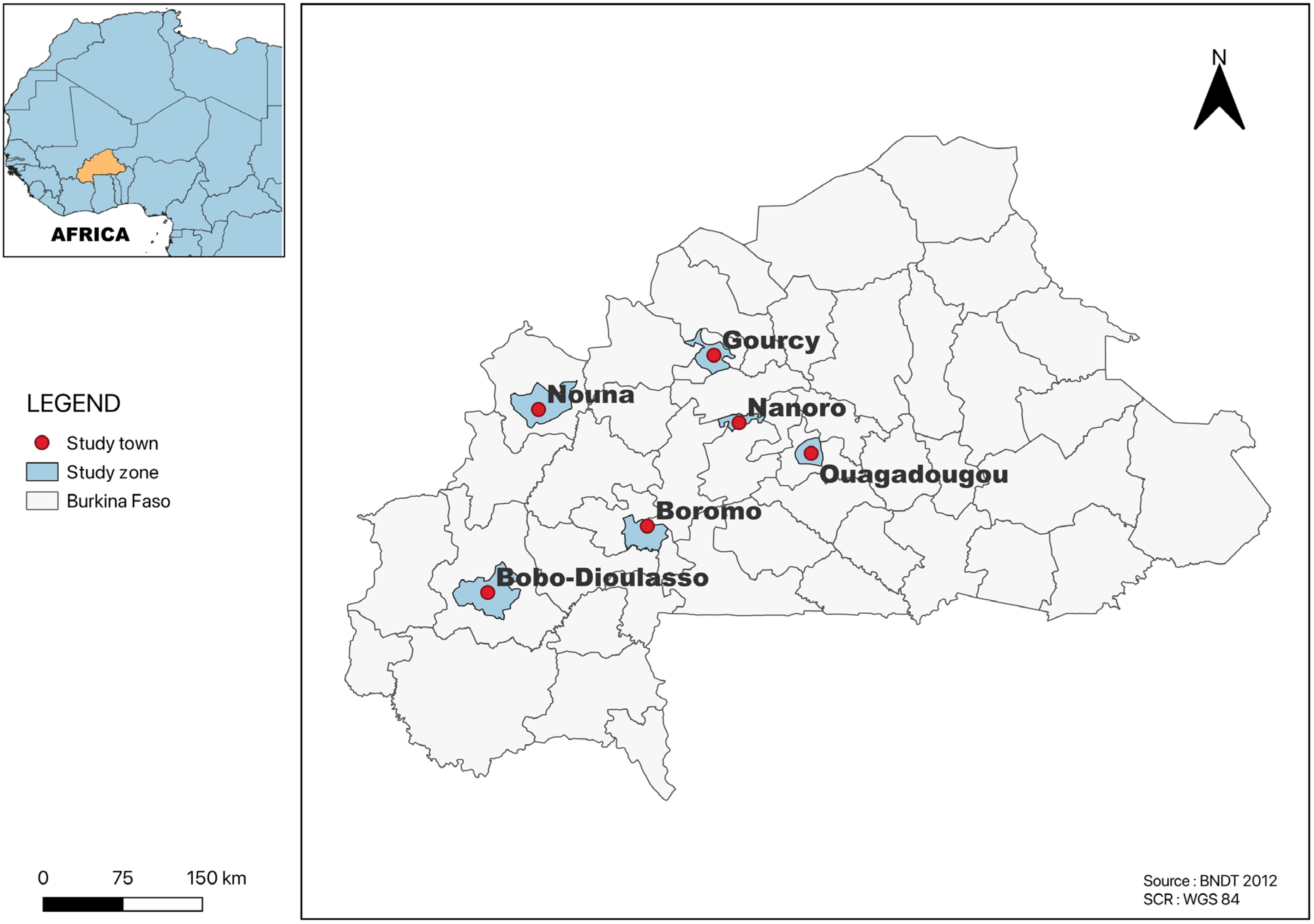 Antibiotics 13 00556 g002