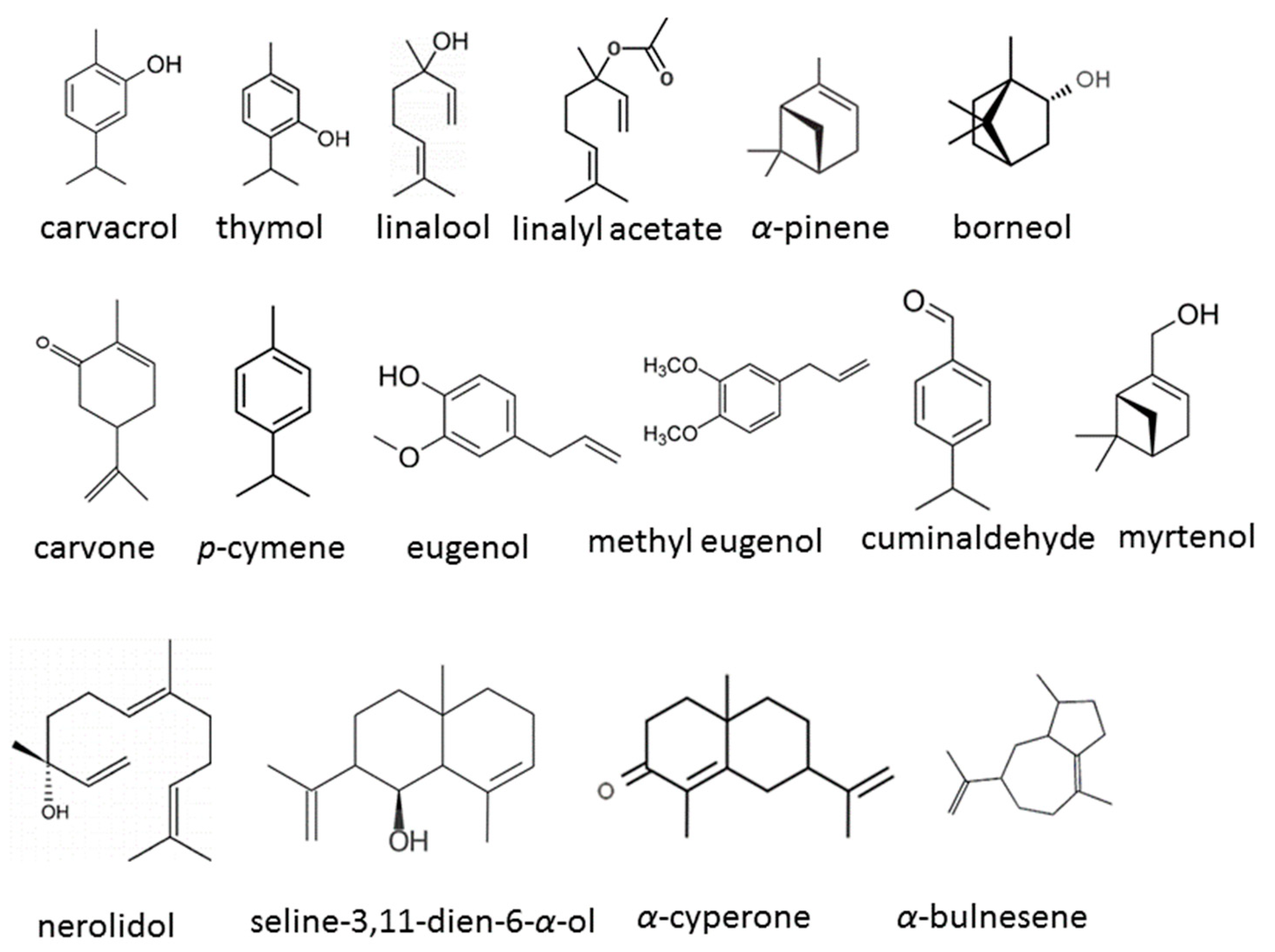 Antibiotics 13 00568 g003