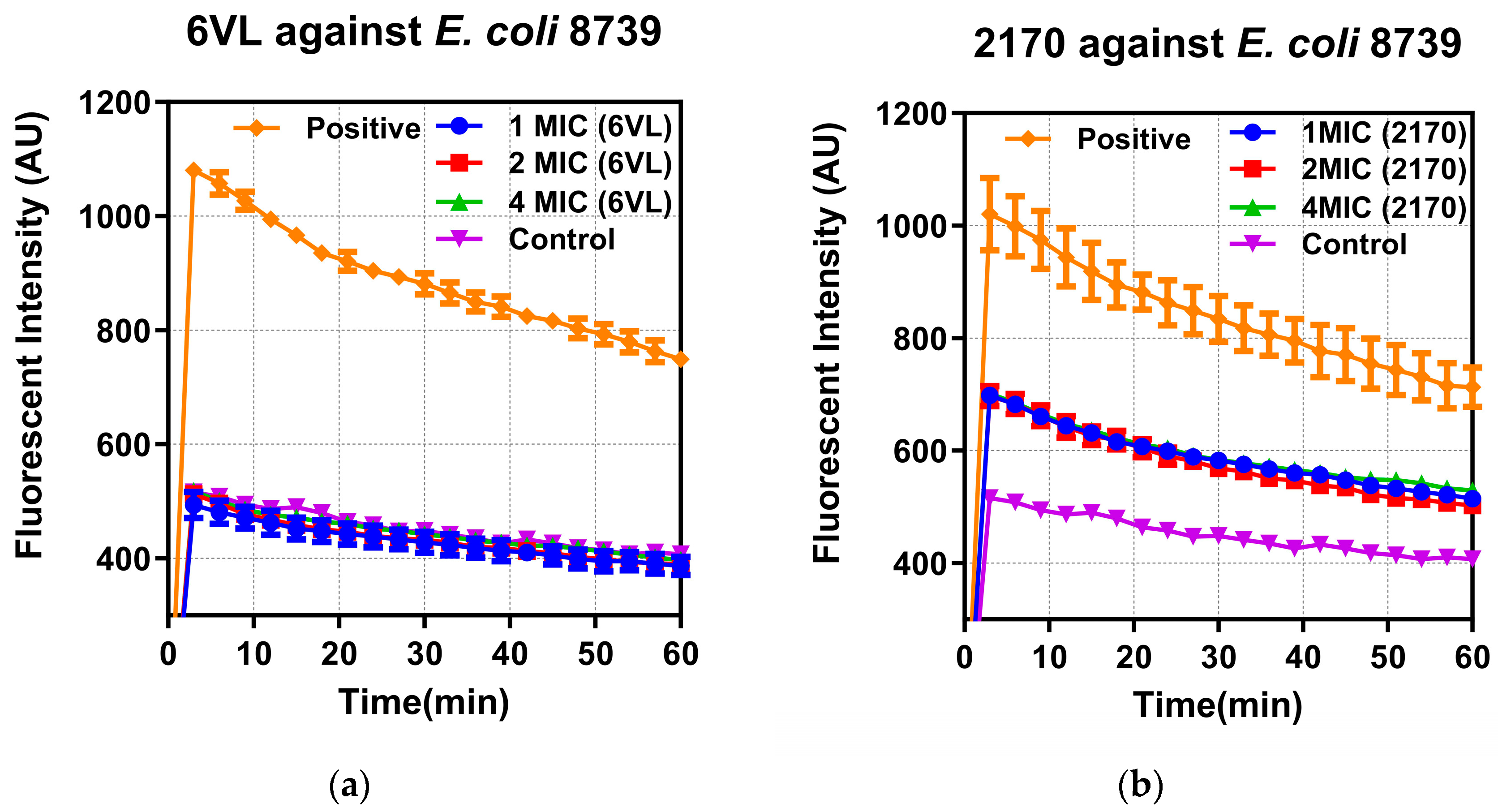 Antibiotics 13 00574 g005