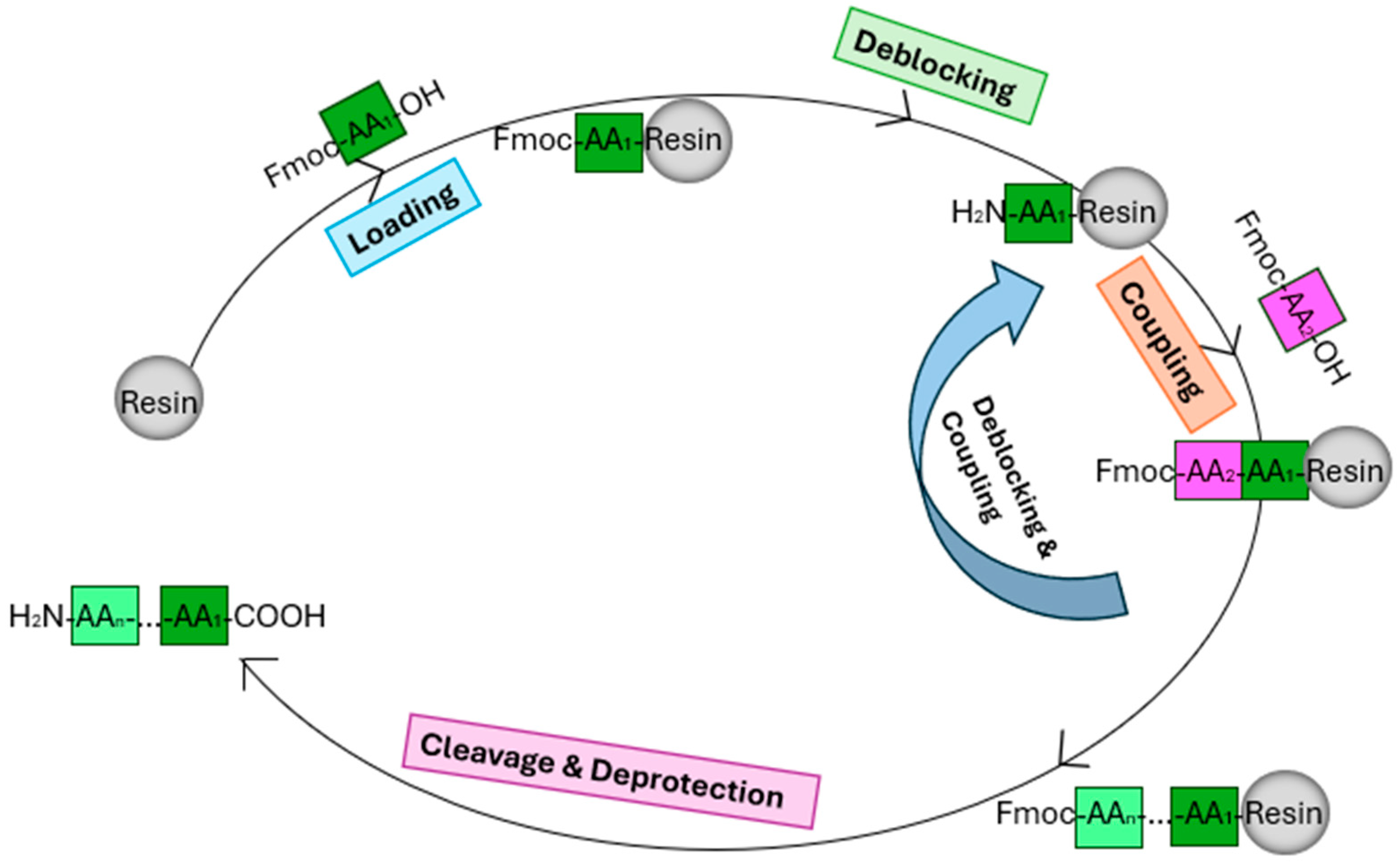 Antibiotics 13 00574 g008