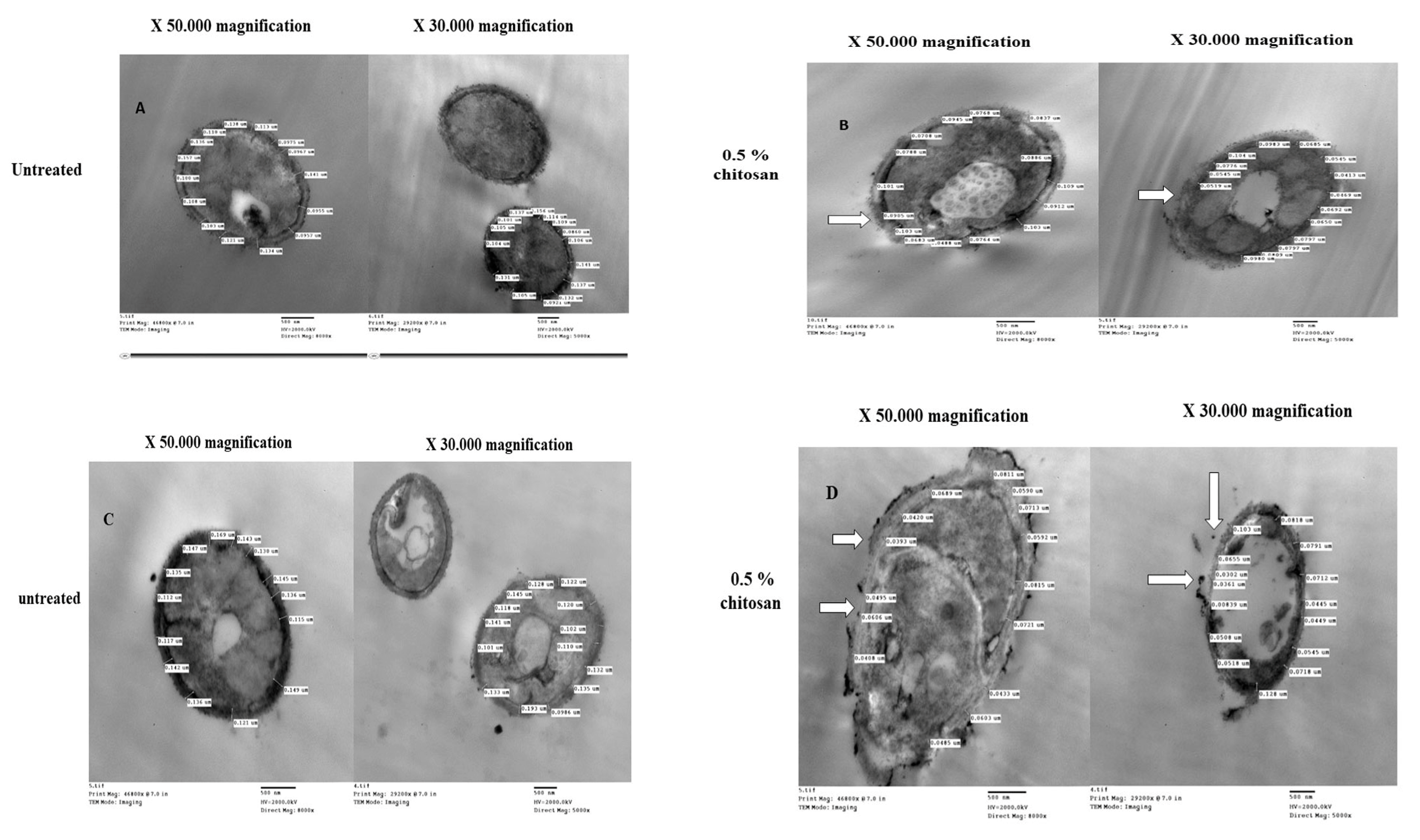 Antibiotics 13 00578 g001