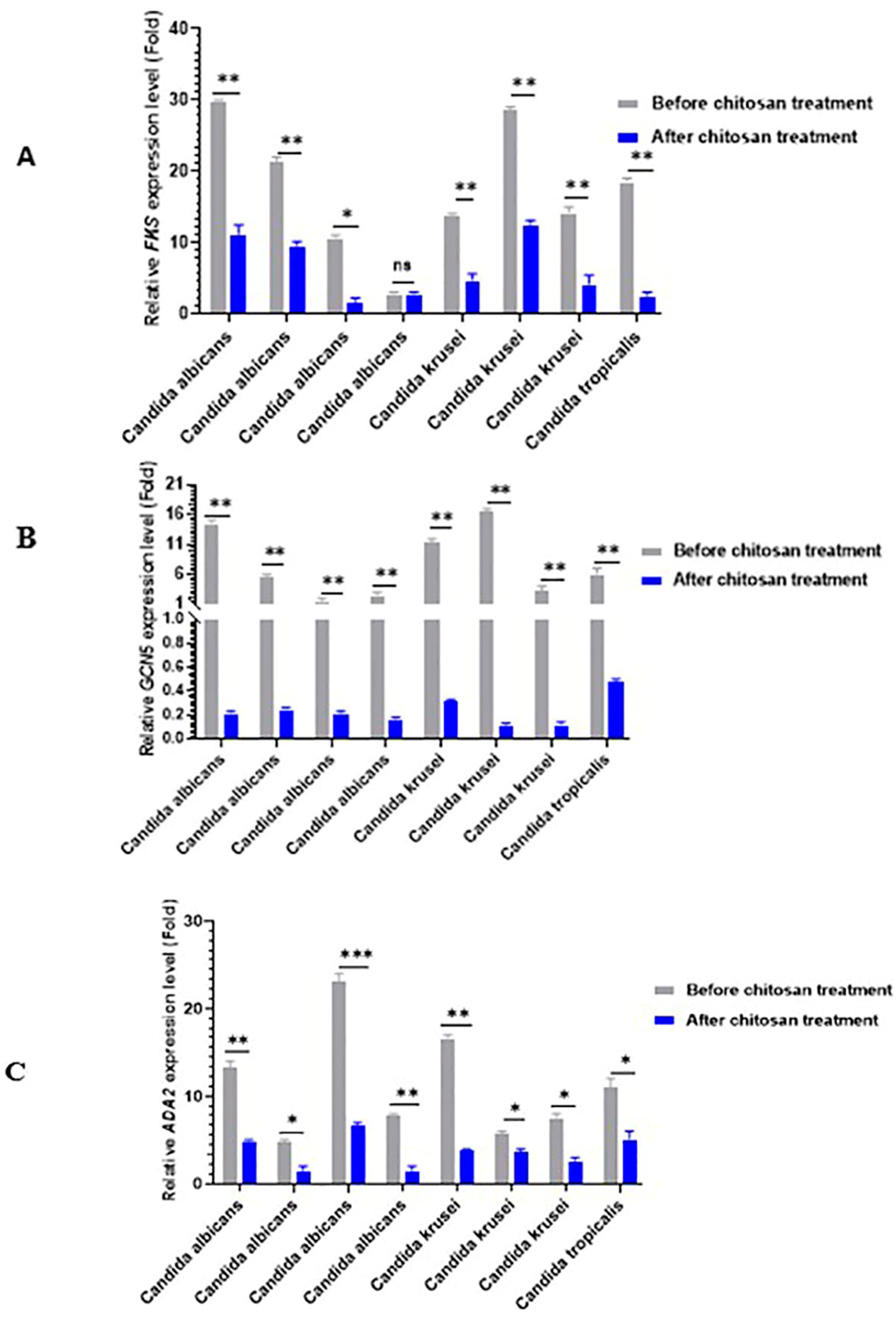 Antibiotics 13 00578 g003