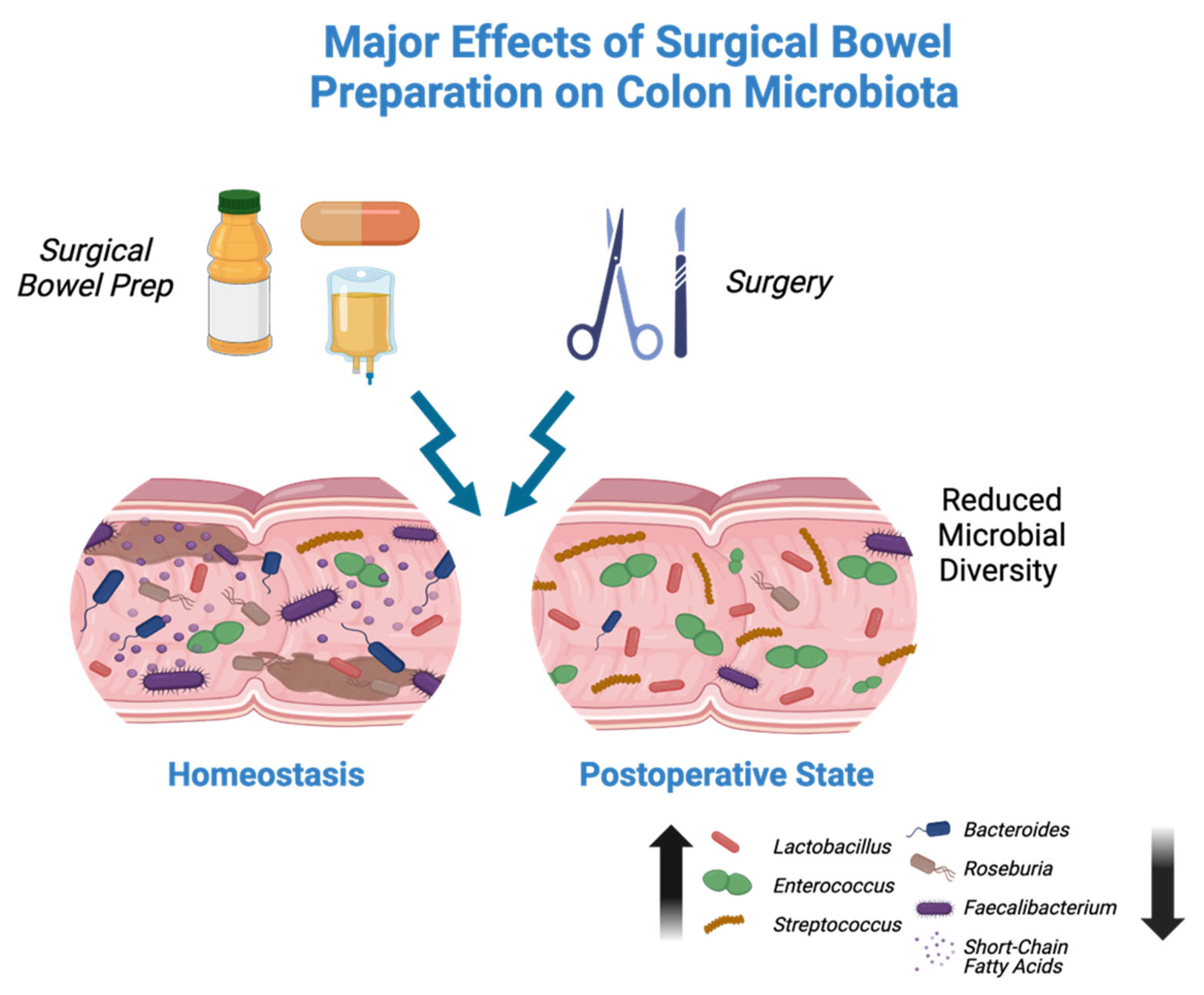Antibiotics 13 00580 g001
