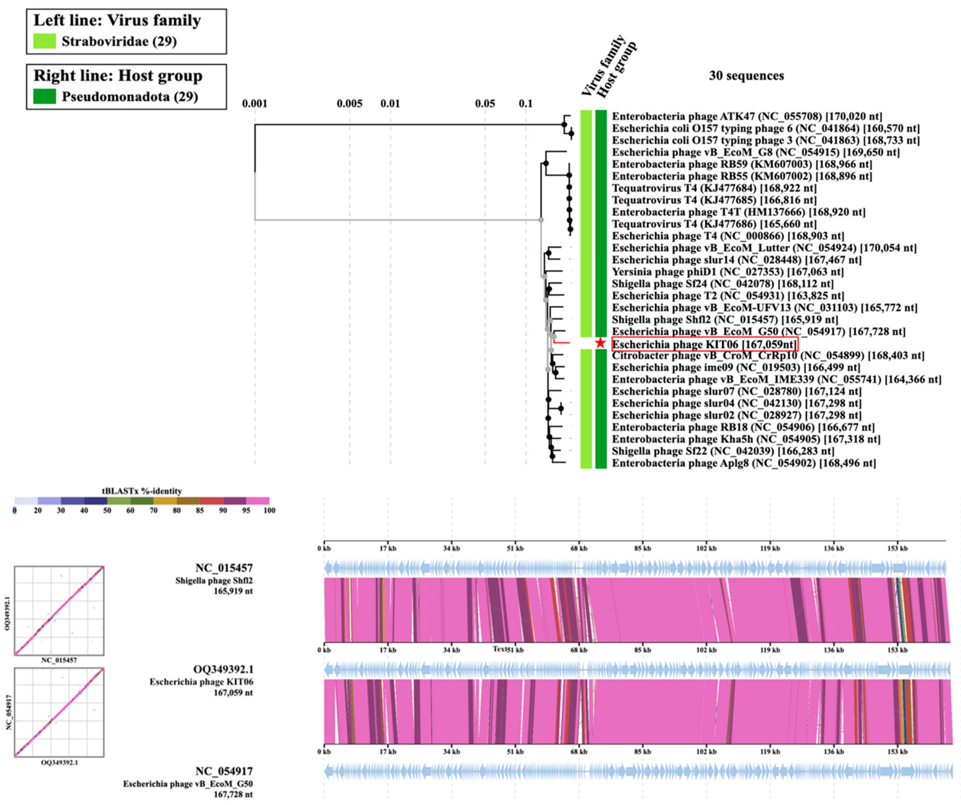Antibiotics 13 00581 g006 Antibiotics 13 00581 g006