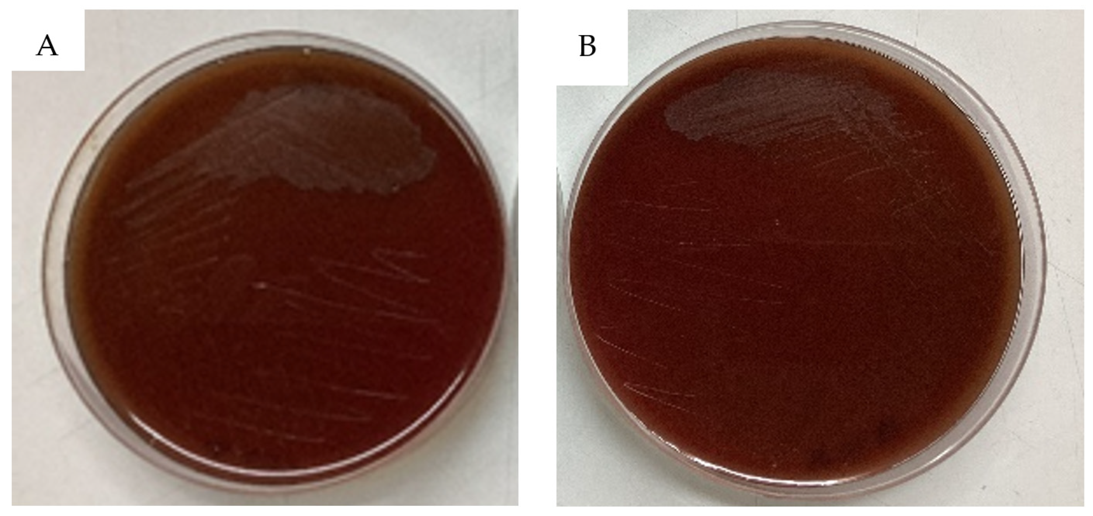 Antibiotics 13 00604 g004 Antibiotics 13 00604 g004