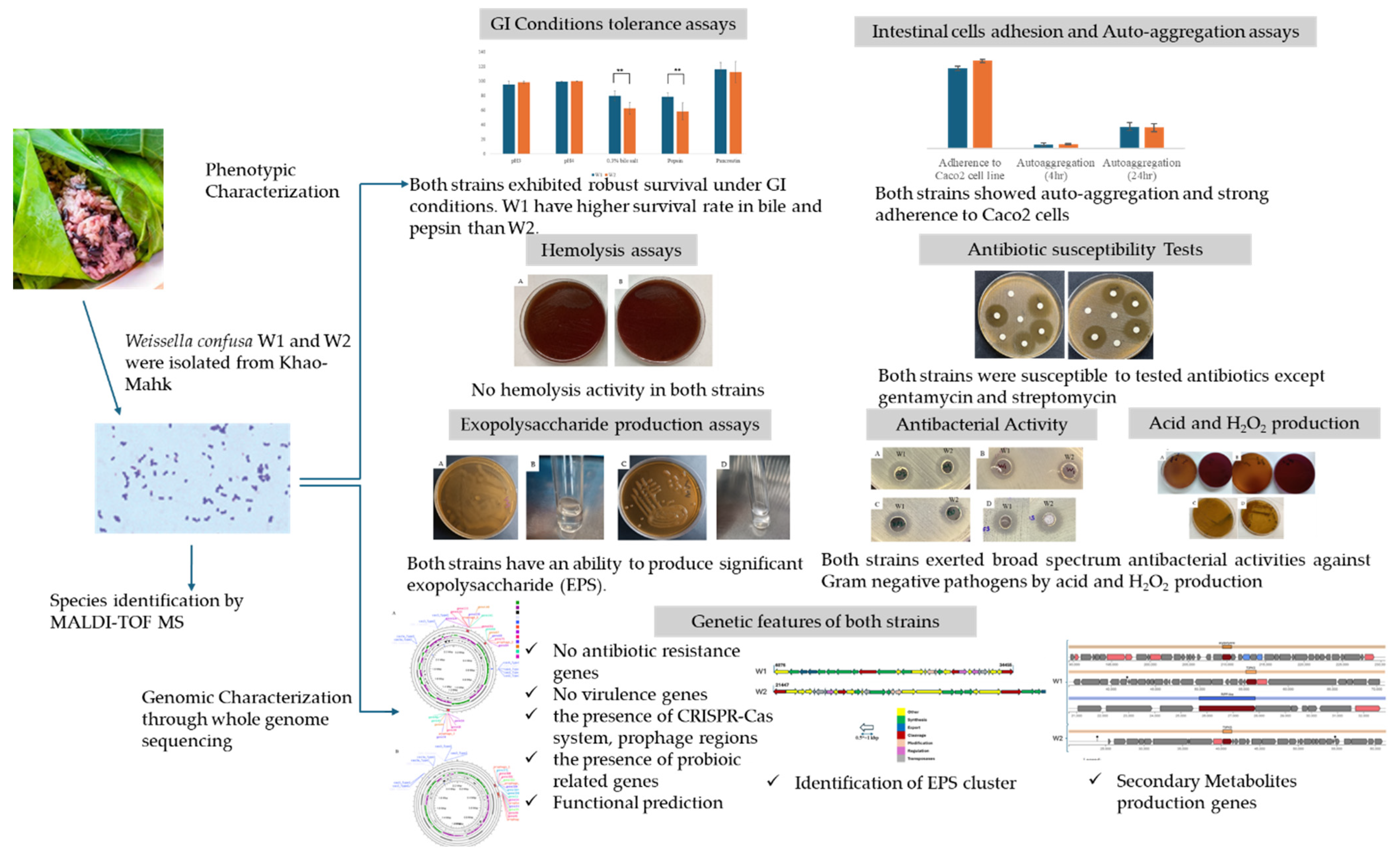 Antibiotics 13 00604 g010 Antibiotics 13 00604 g010