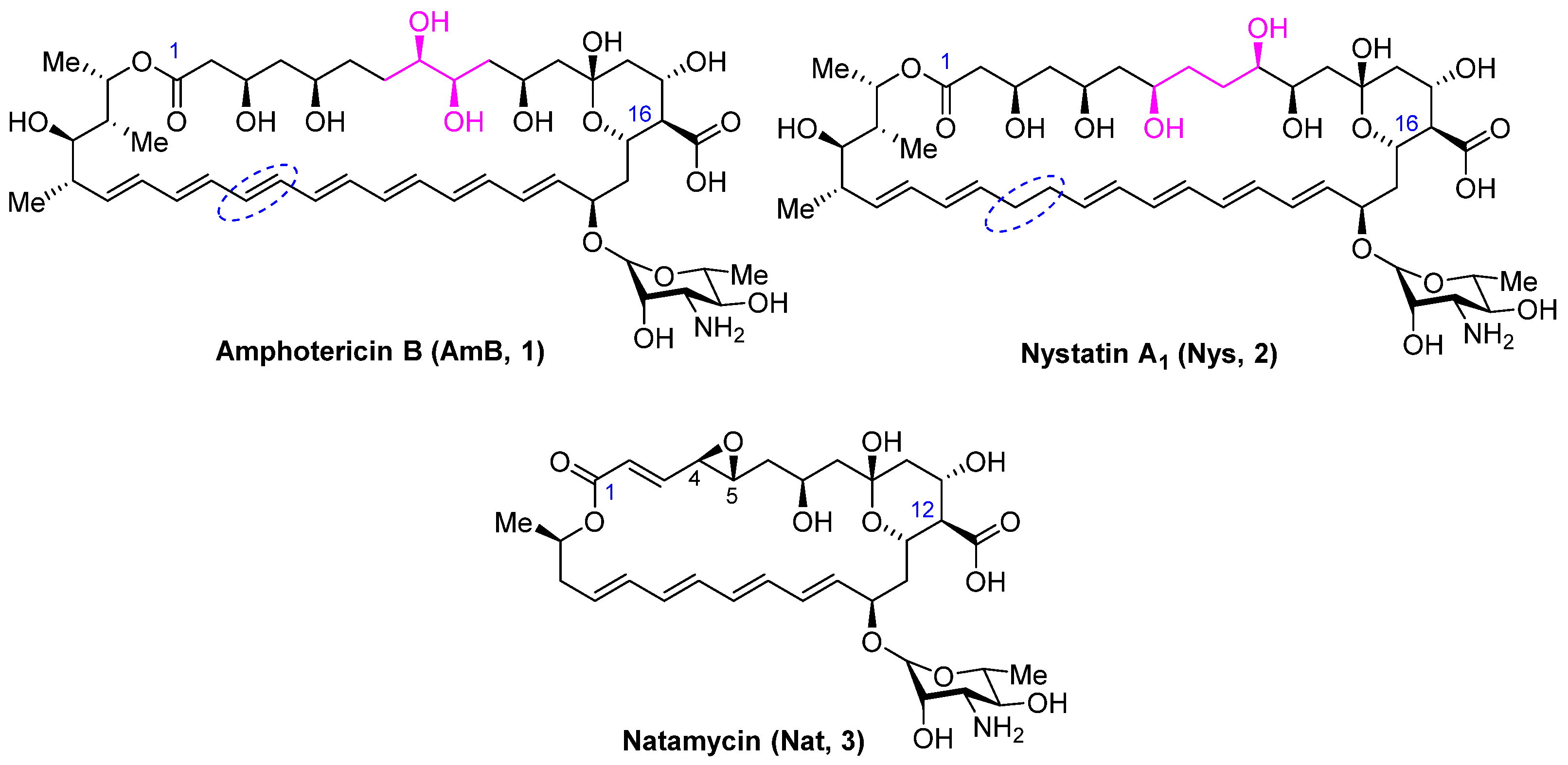 Antibiotics 13 00608 g001