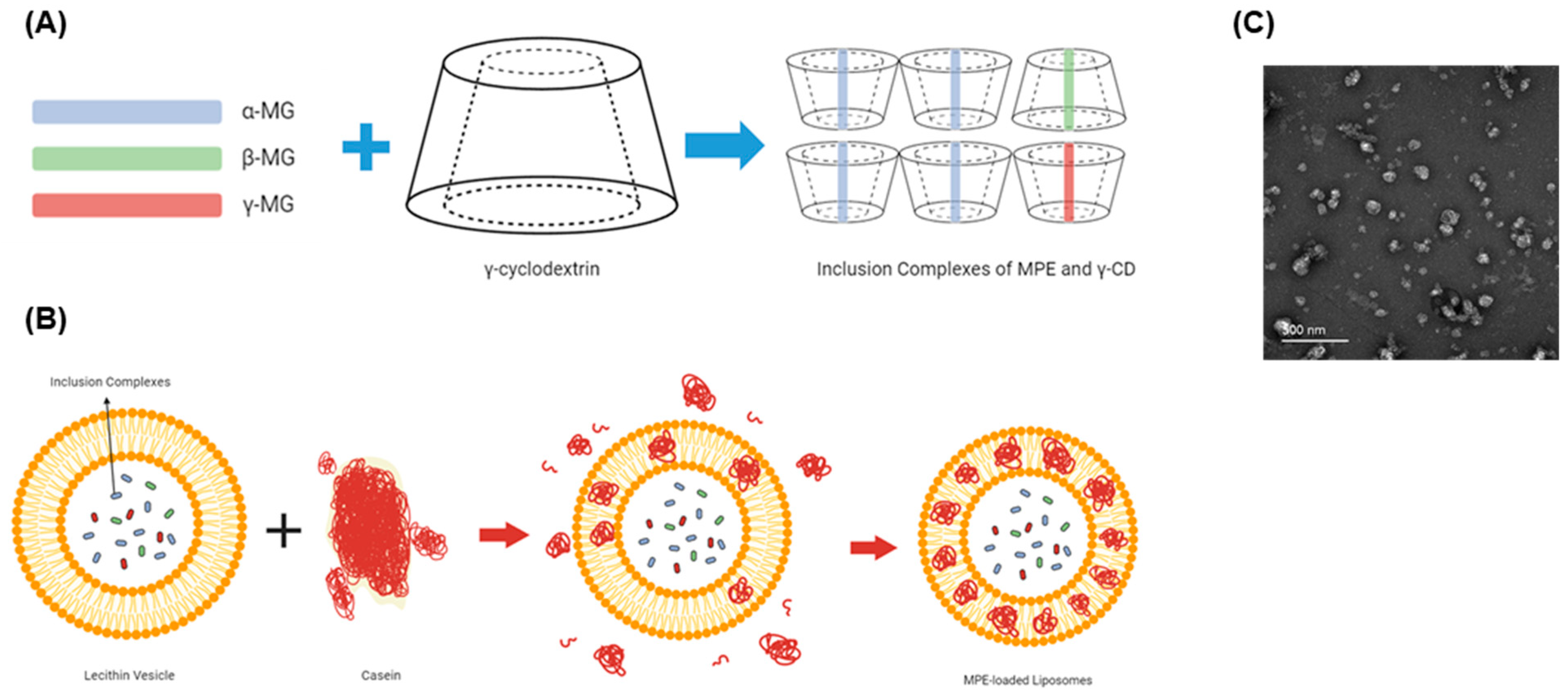 Antibiotics 13 00612 g001