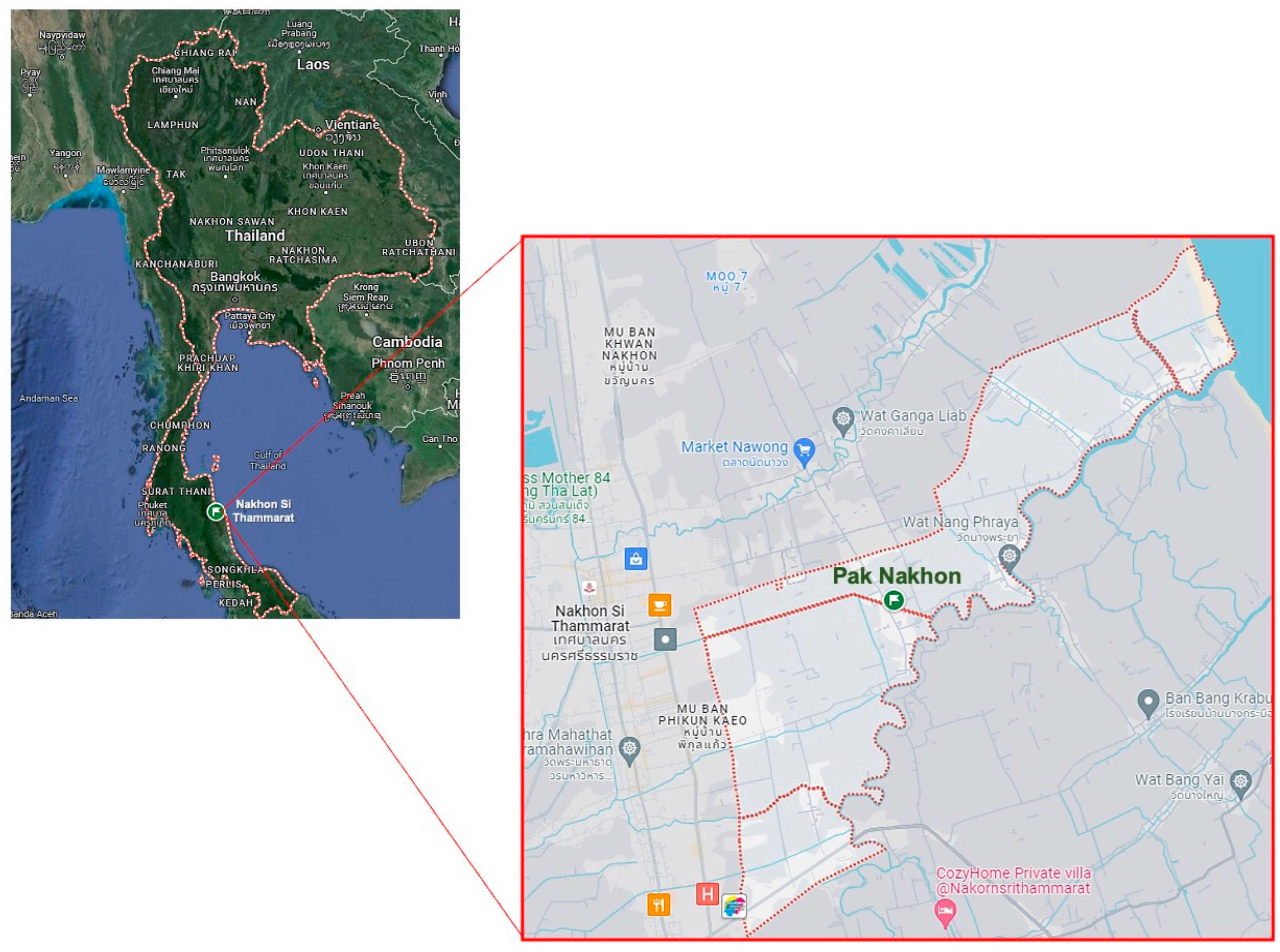 Antibiotics 13 00613 g005