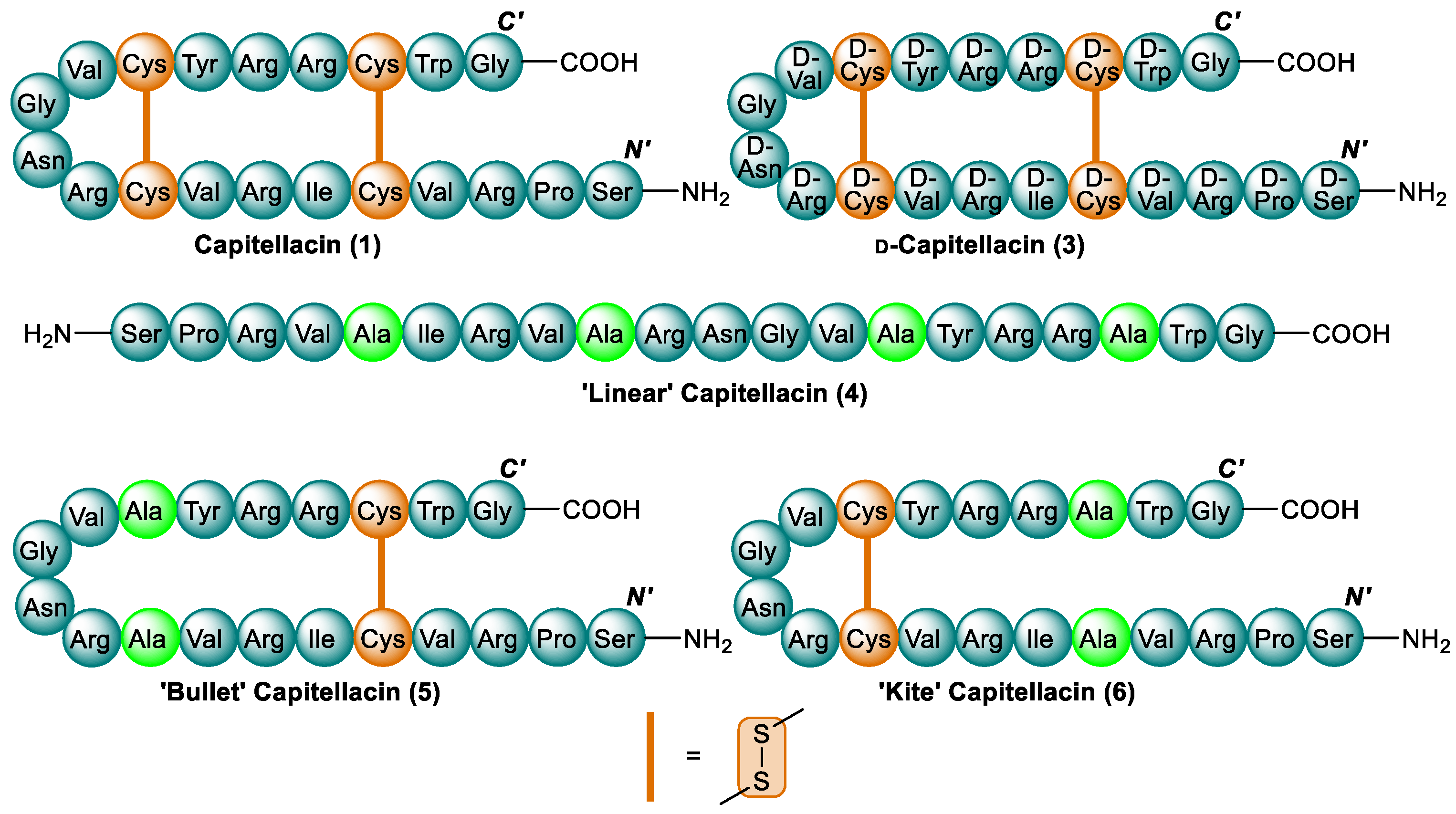 Antibiotics 13 00615 g003 Antibiotics 13 00615 g003