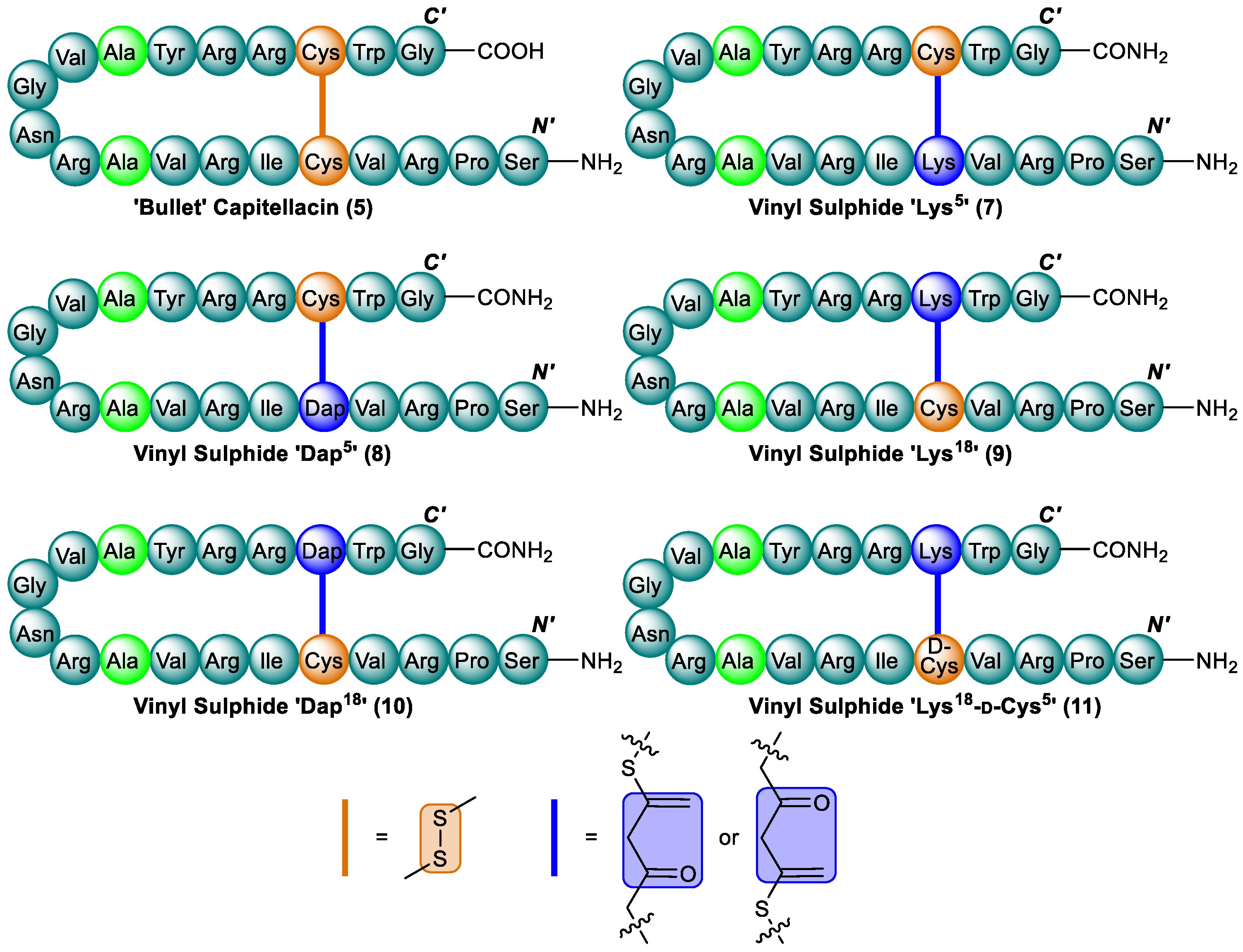 Antibiotics 13 00615 g005 Antibiotics 13 00615 g005