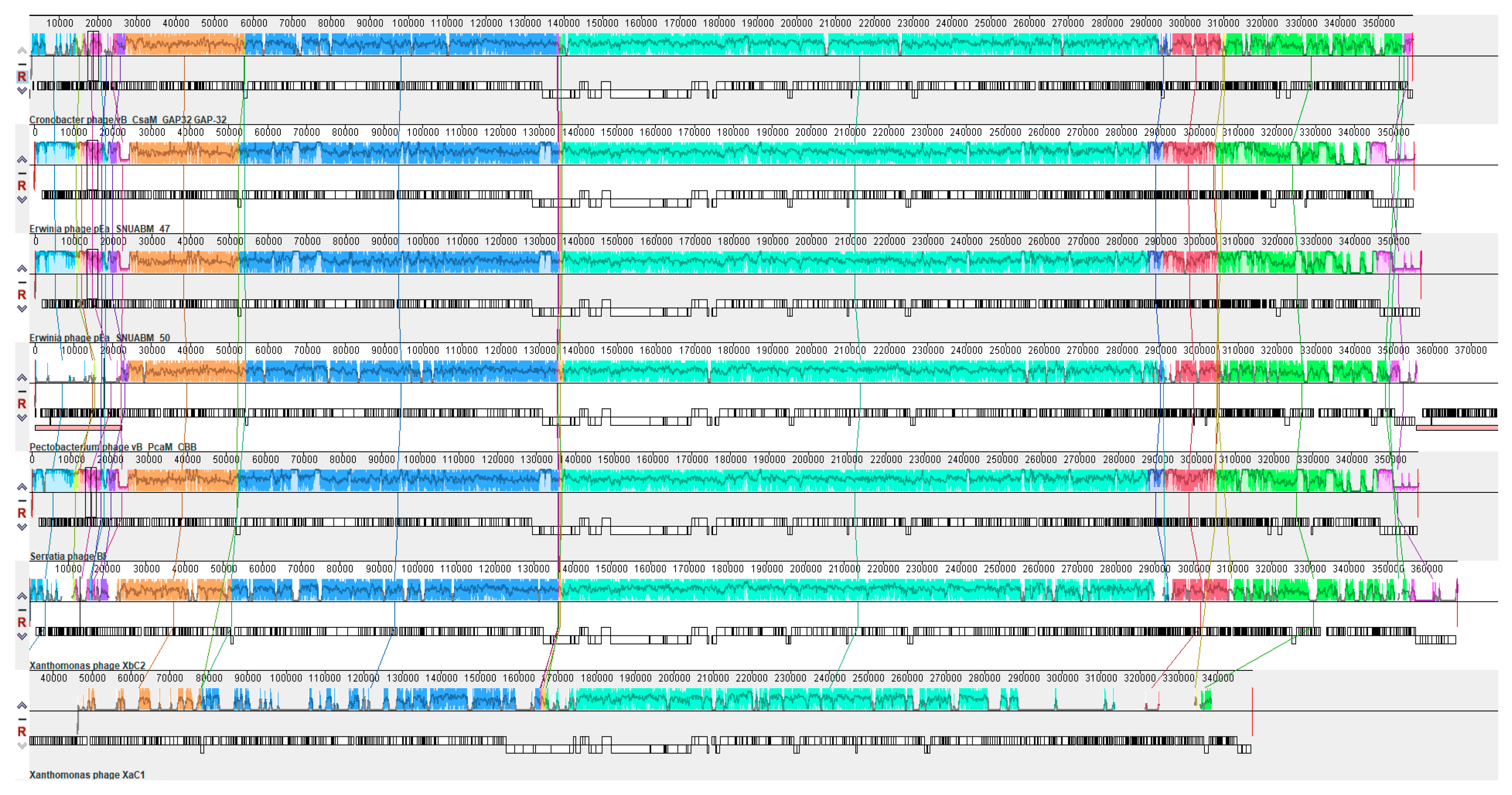 Antibiotics 13 00651 g005 Antibiotics 13 00651 g005
