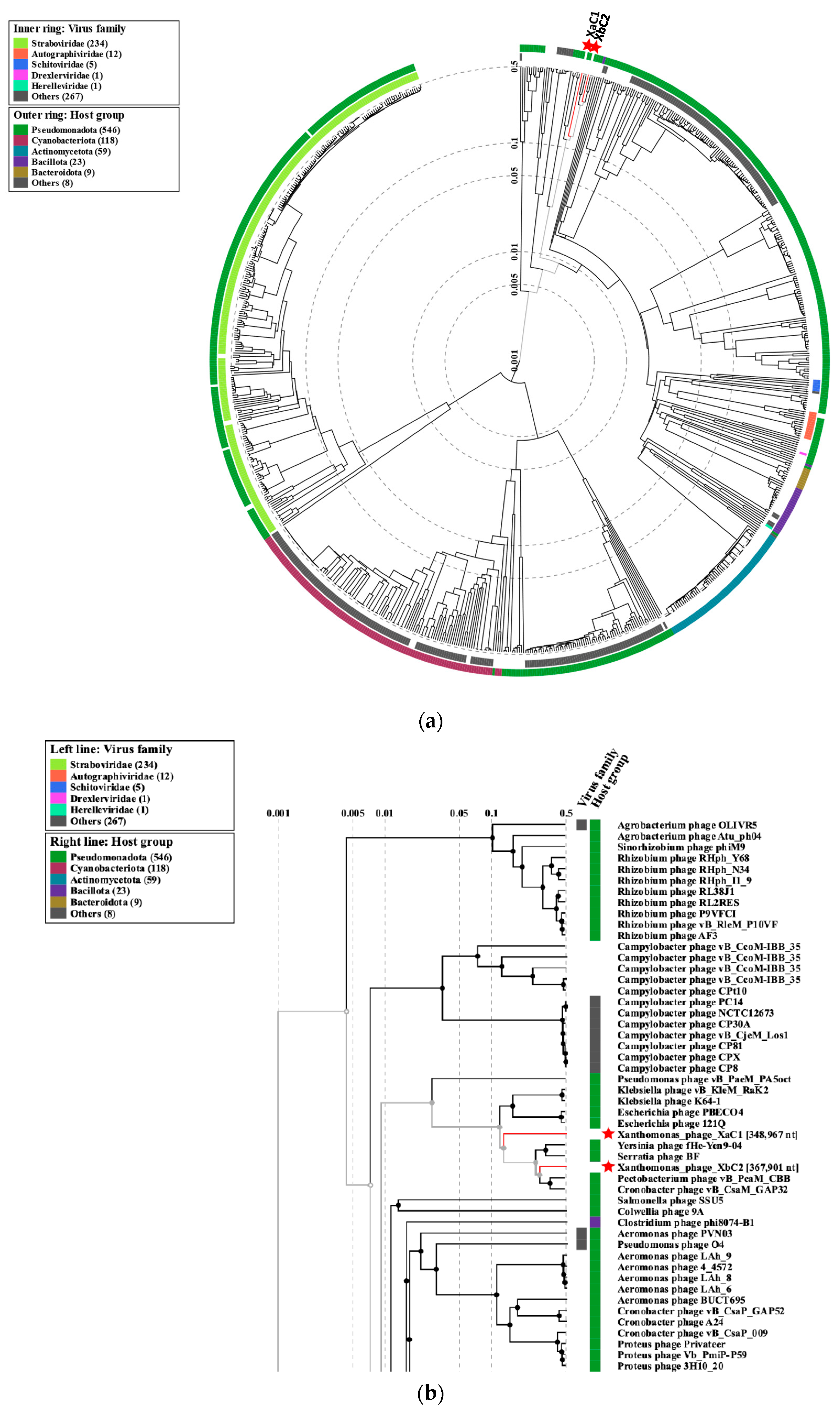 Antibiotics 13 00651 g006 Antibiotics 13 00651 g006
