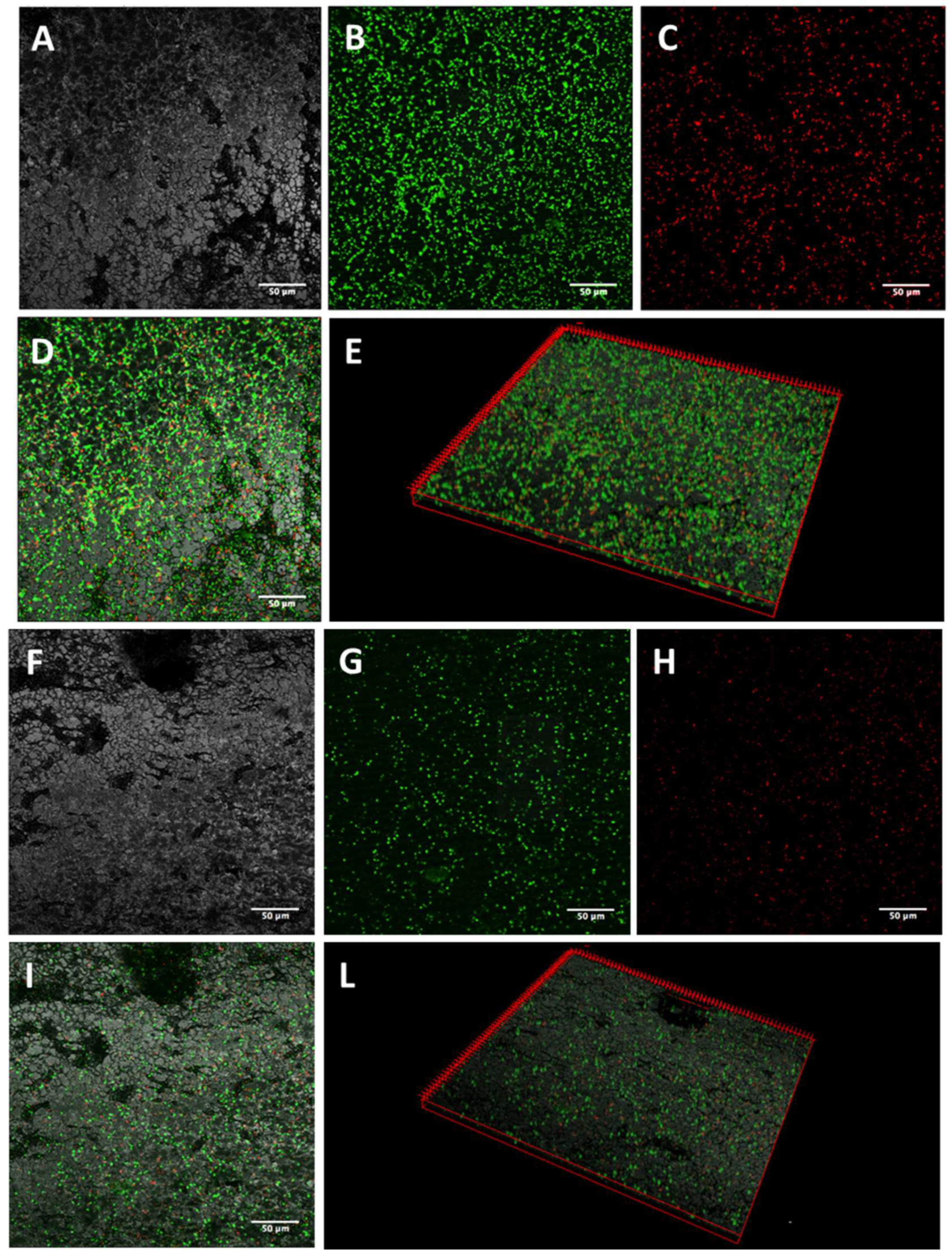 Antibiotics 13 00683 g002