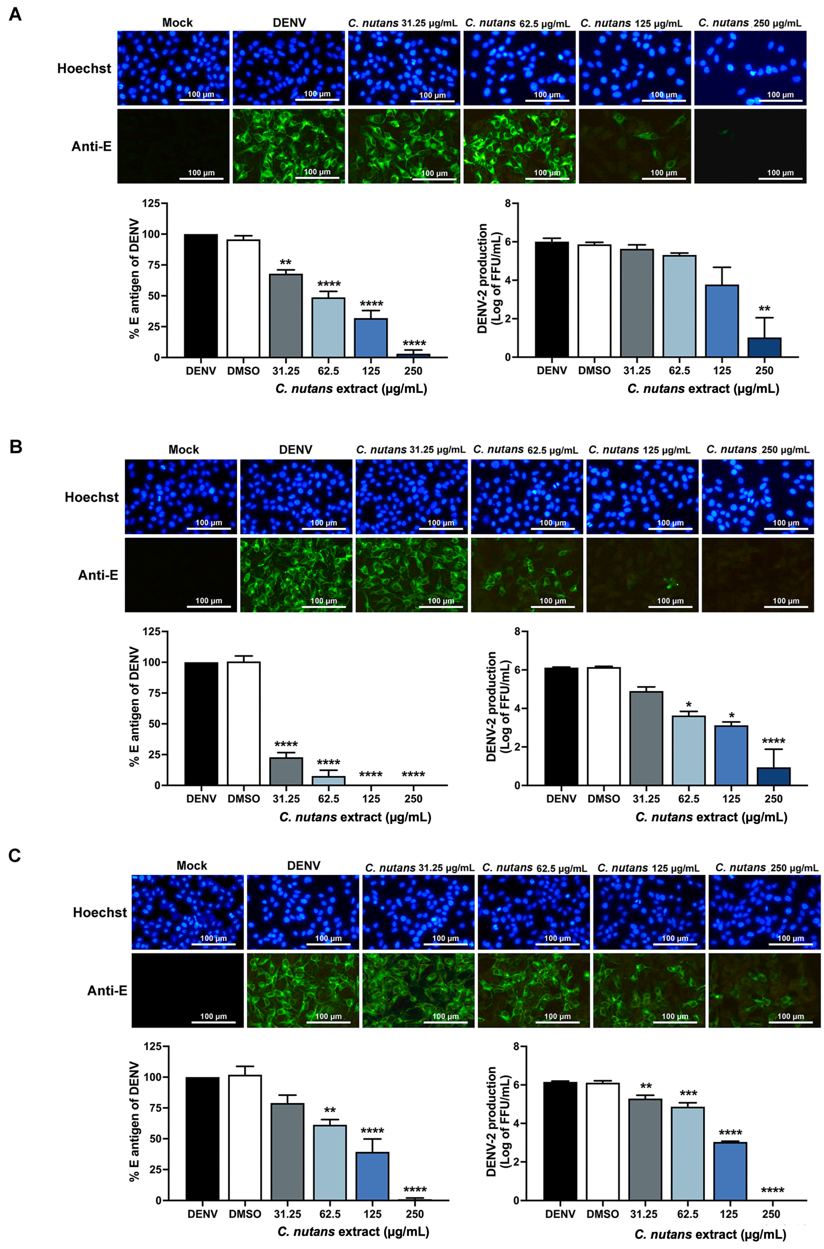 Antibiotics 13 00705 g001