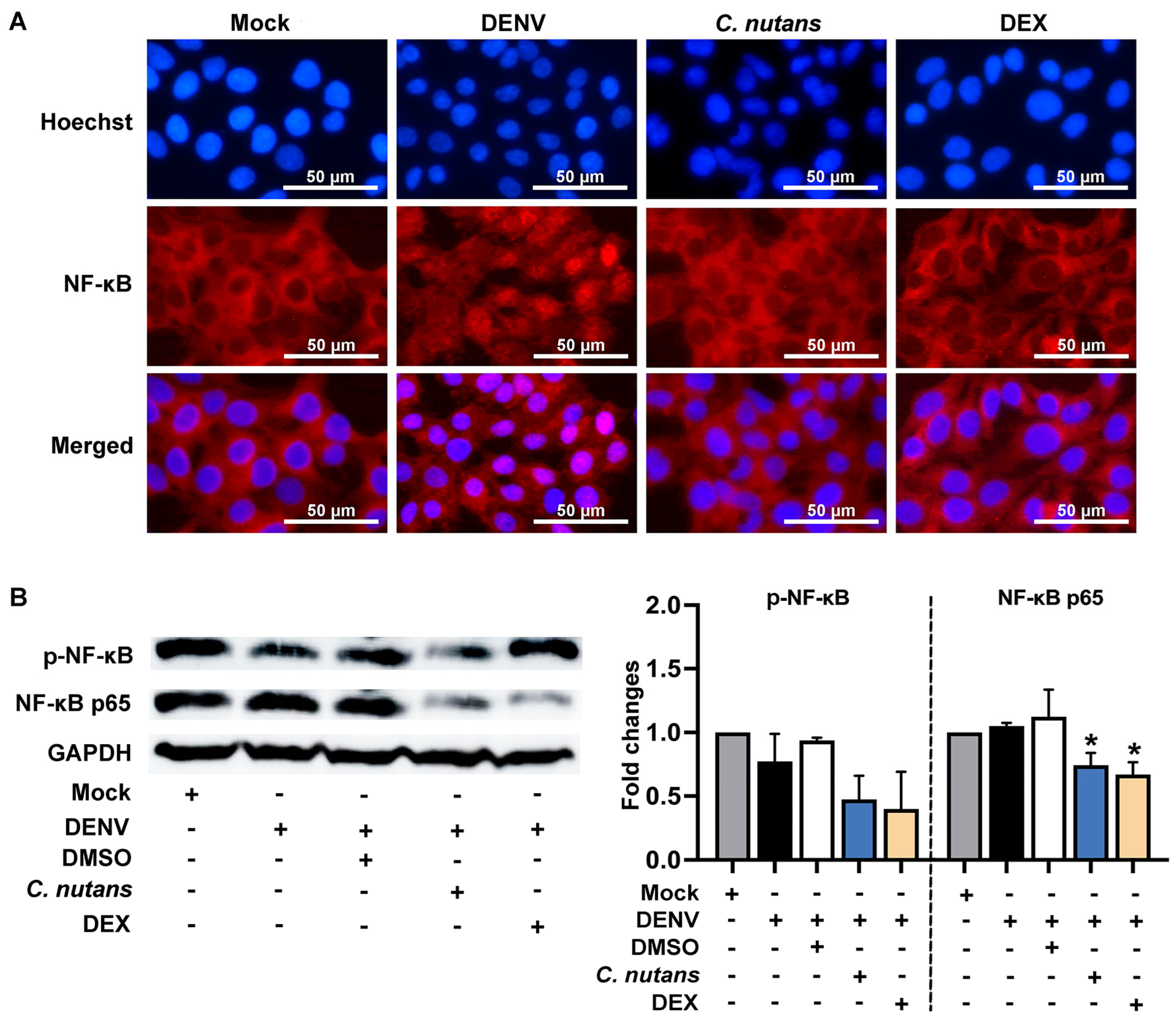 Antibiotics 13 00705 g005