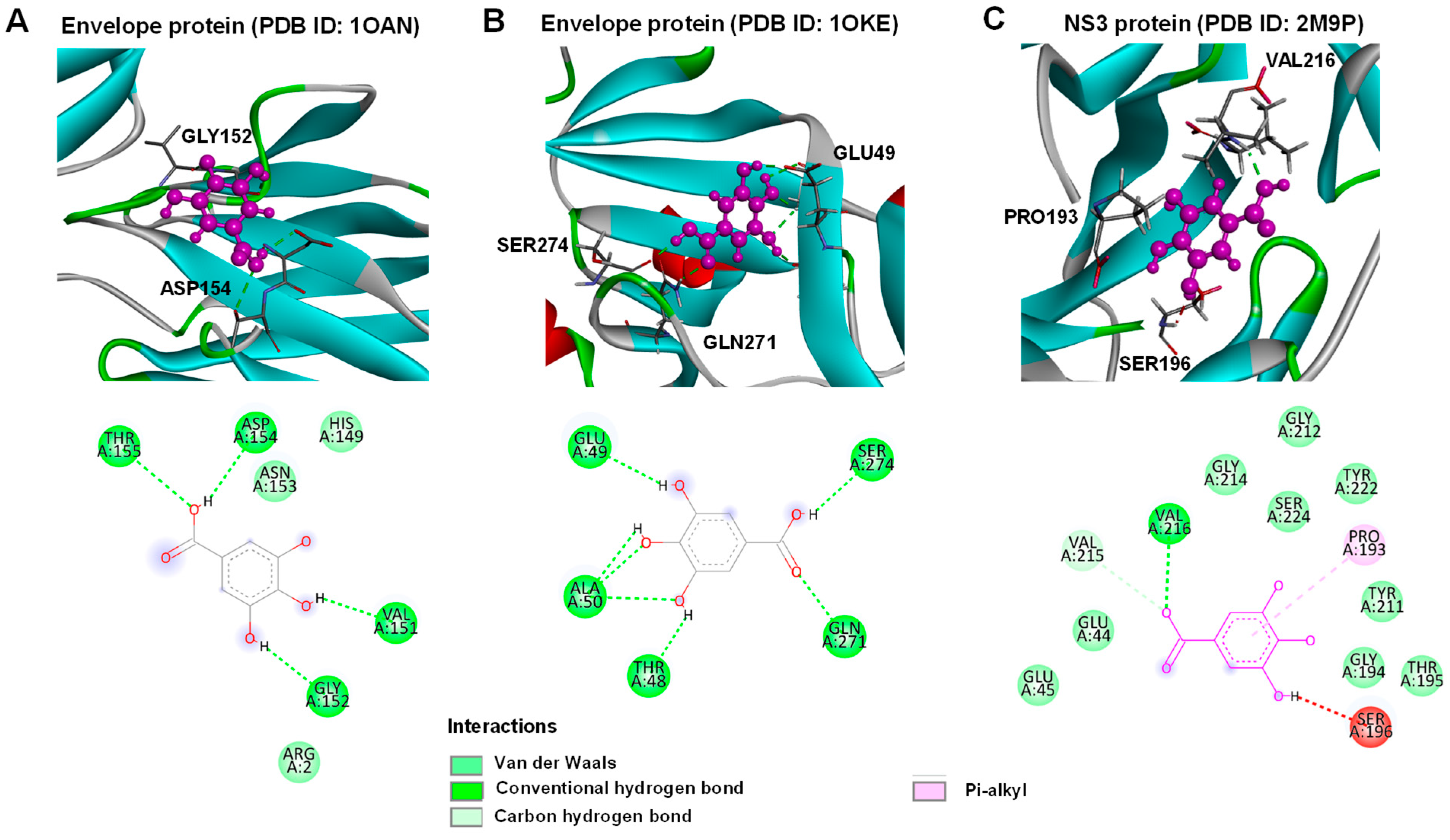 Antibiotics 13 00705 g008
